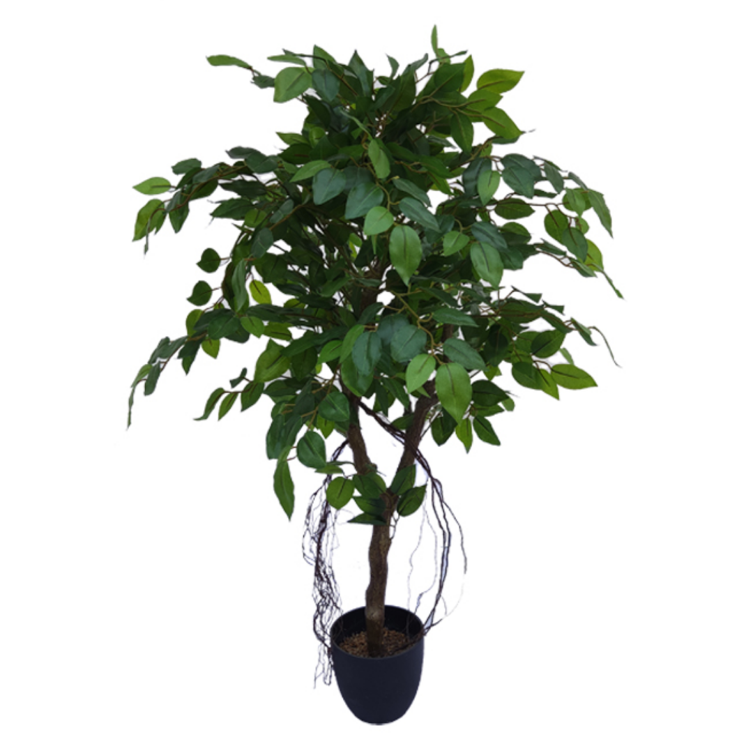 Ficus artificielle