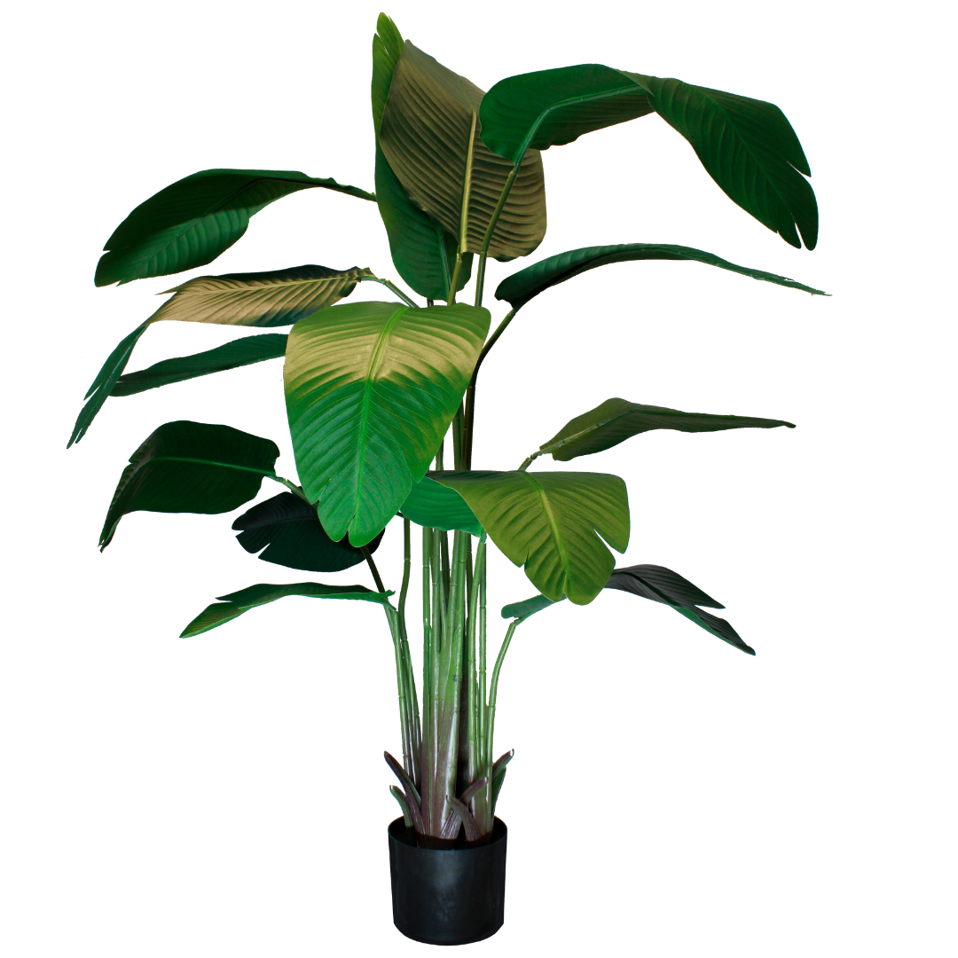 Strelitzia artificielle