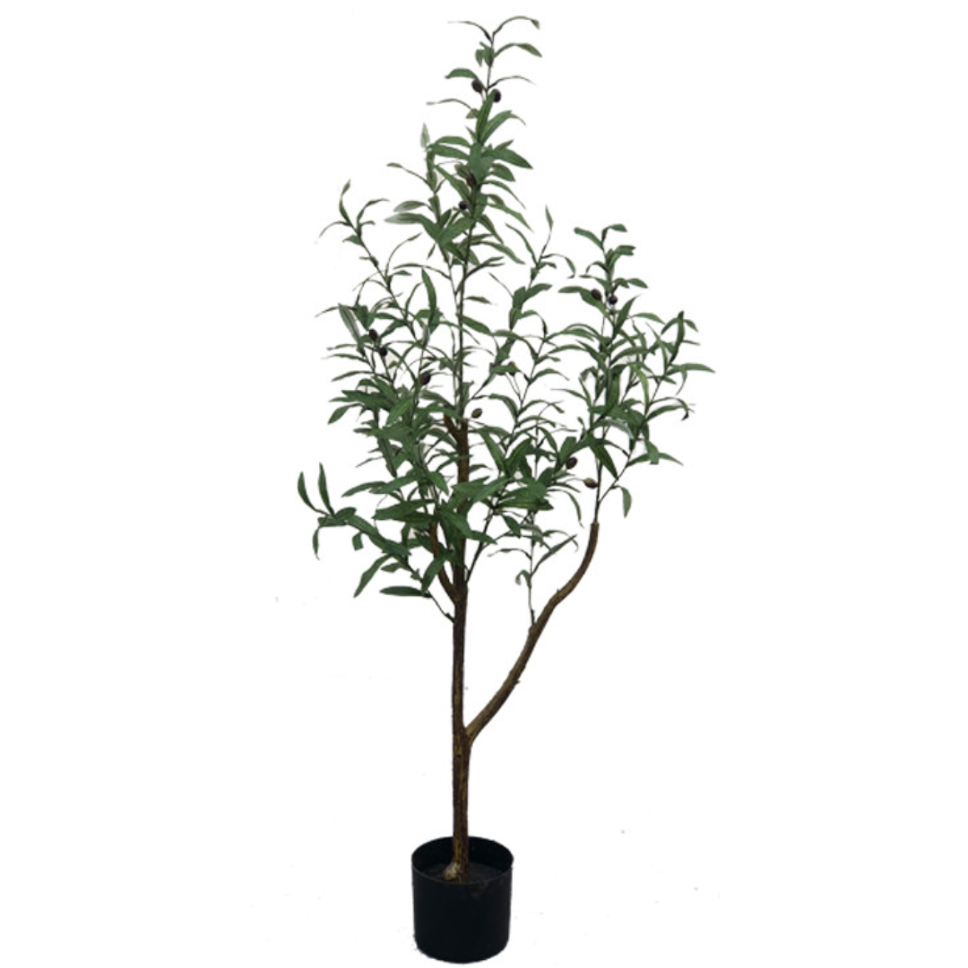 Olivier Artificielle