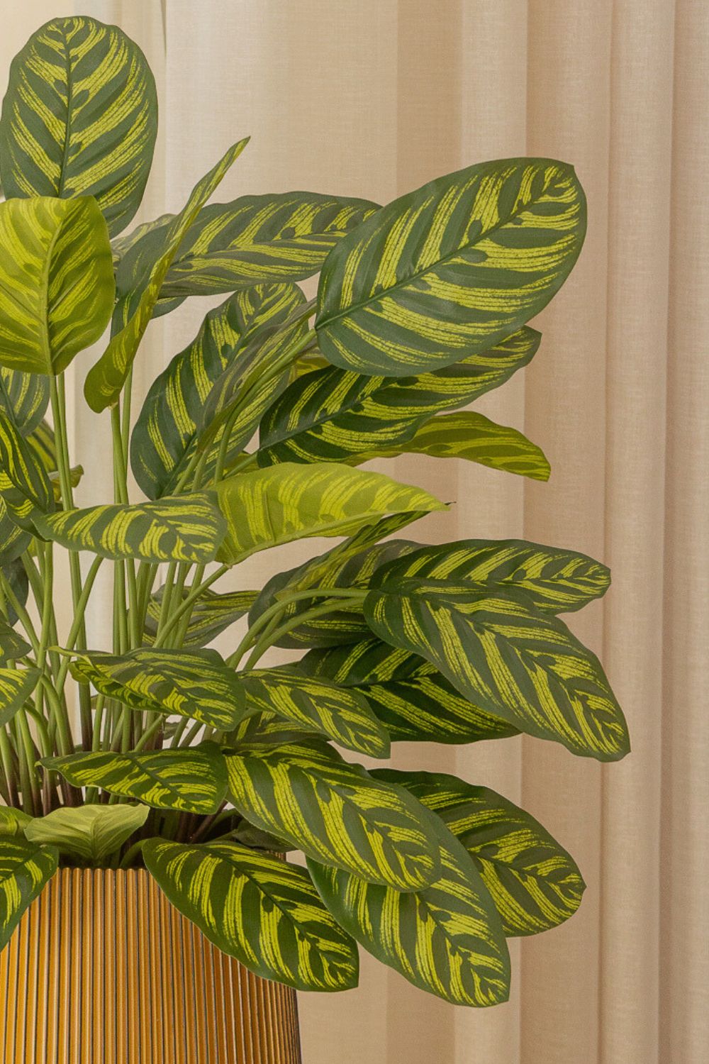 Calathea Artificielle 75cm