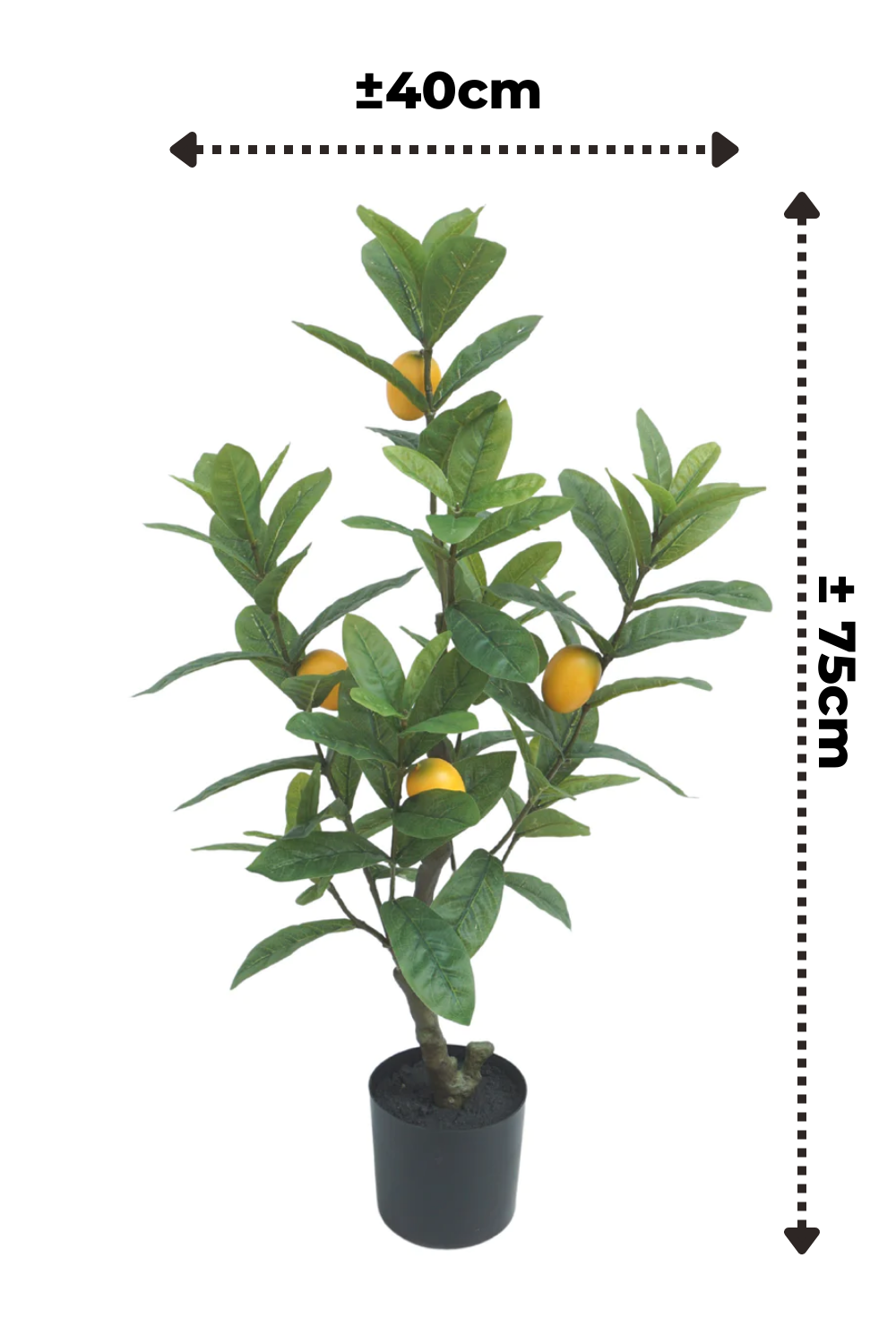 Dimensions du Citronnier Artificiel 75cm