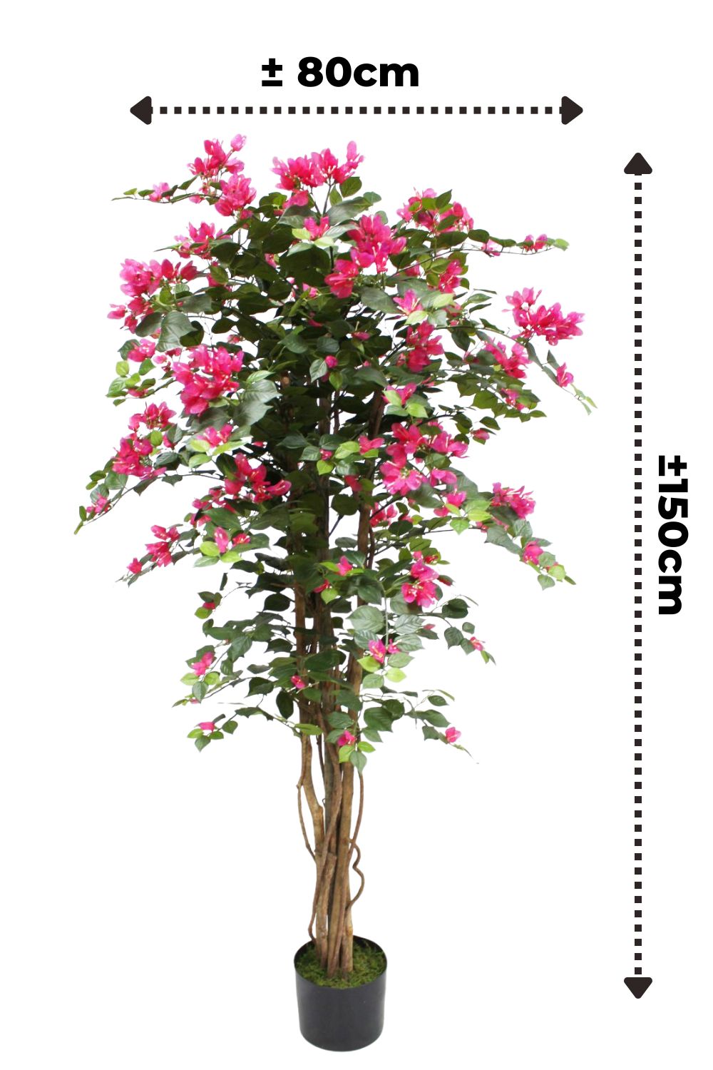 Bougainvillier Artificiel 150 cm