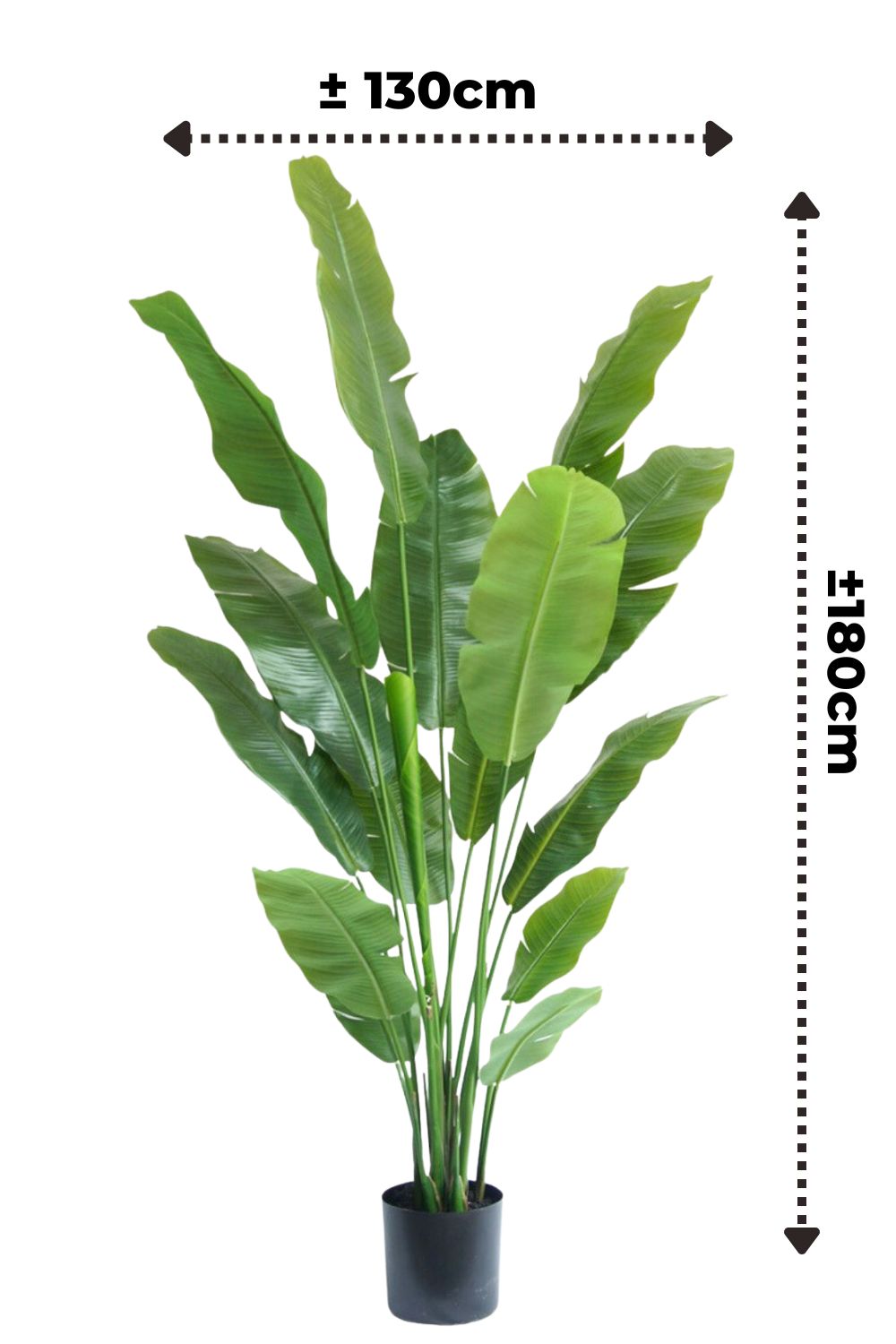 Plante Artificielle Strelitzia 180 cm Deluxe
