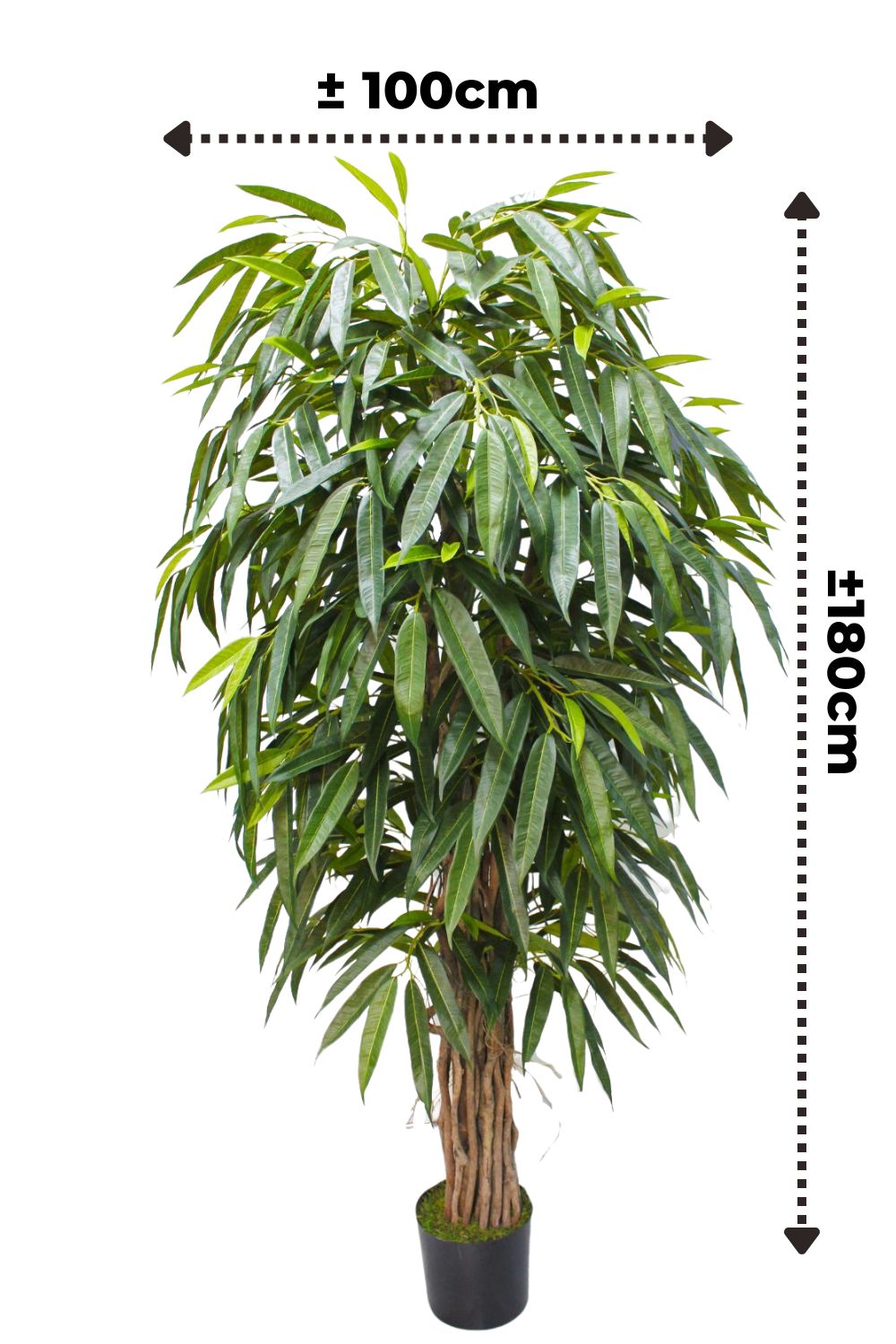 Plante Artificielle Longifolia 180 cm