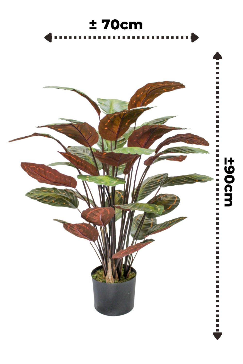Calathea artificielle 90 cm