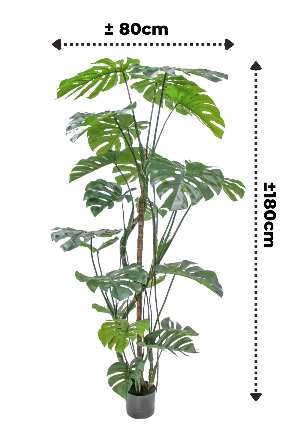 Dimensions de la Monstera Artificielle 180cm