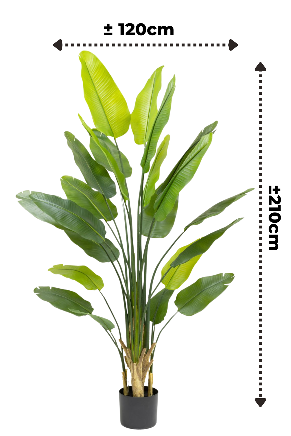 Strelitzia artificielle 210 cm