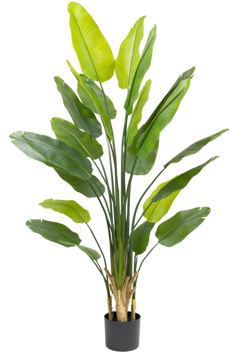 Strelitzia artificielle 210 cm