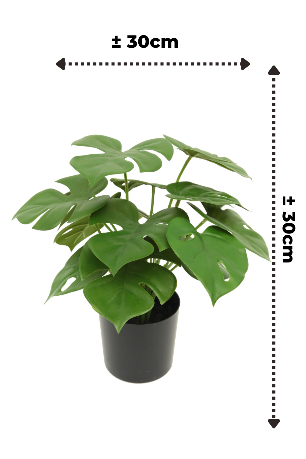 Dimensions de la Monstera Artificielle 30cm