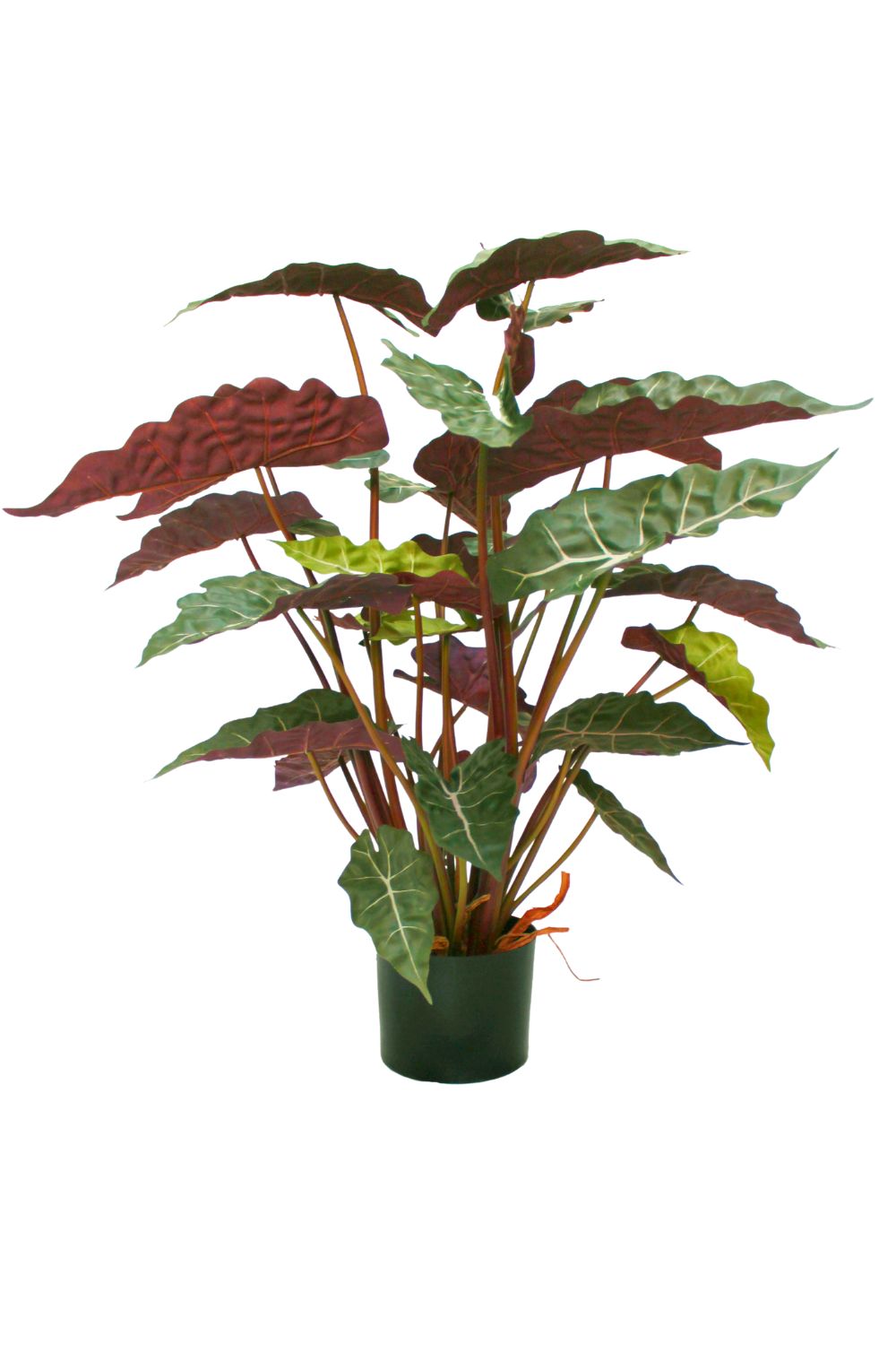 Alocasia Artificielle 80cm