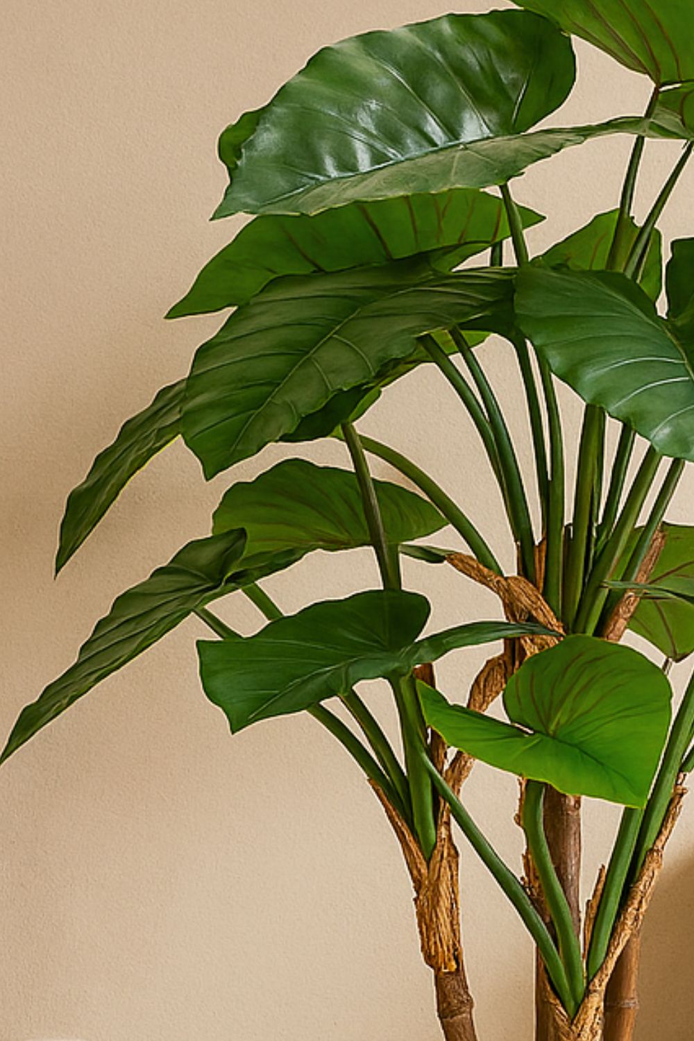 Détails de l’Alocasia Artificielle 140cm