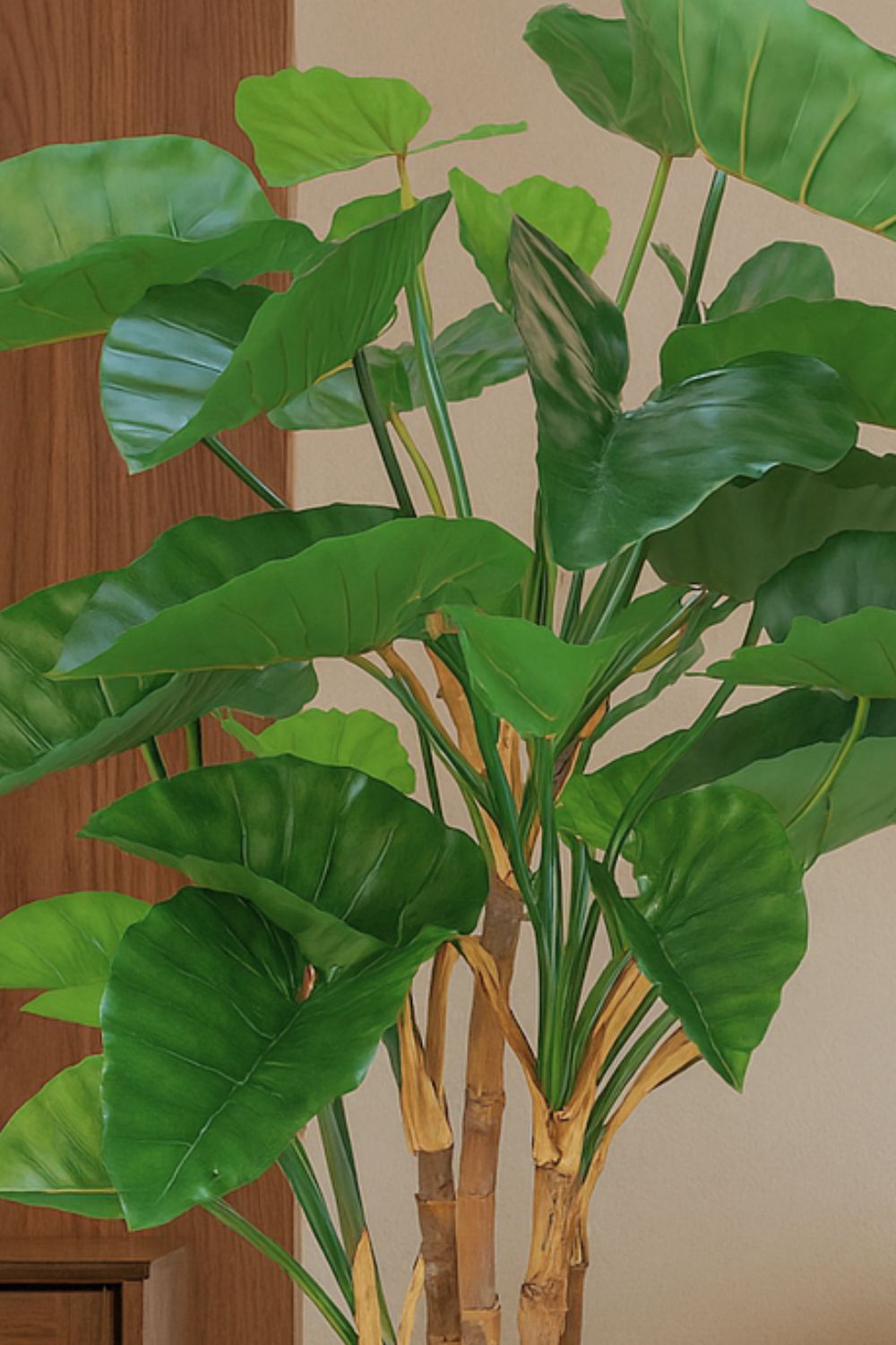 Détails de l’Alocasia Artificielle 165cm