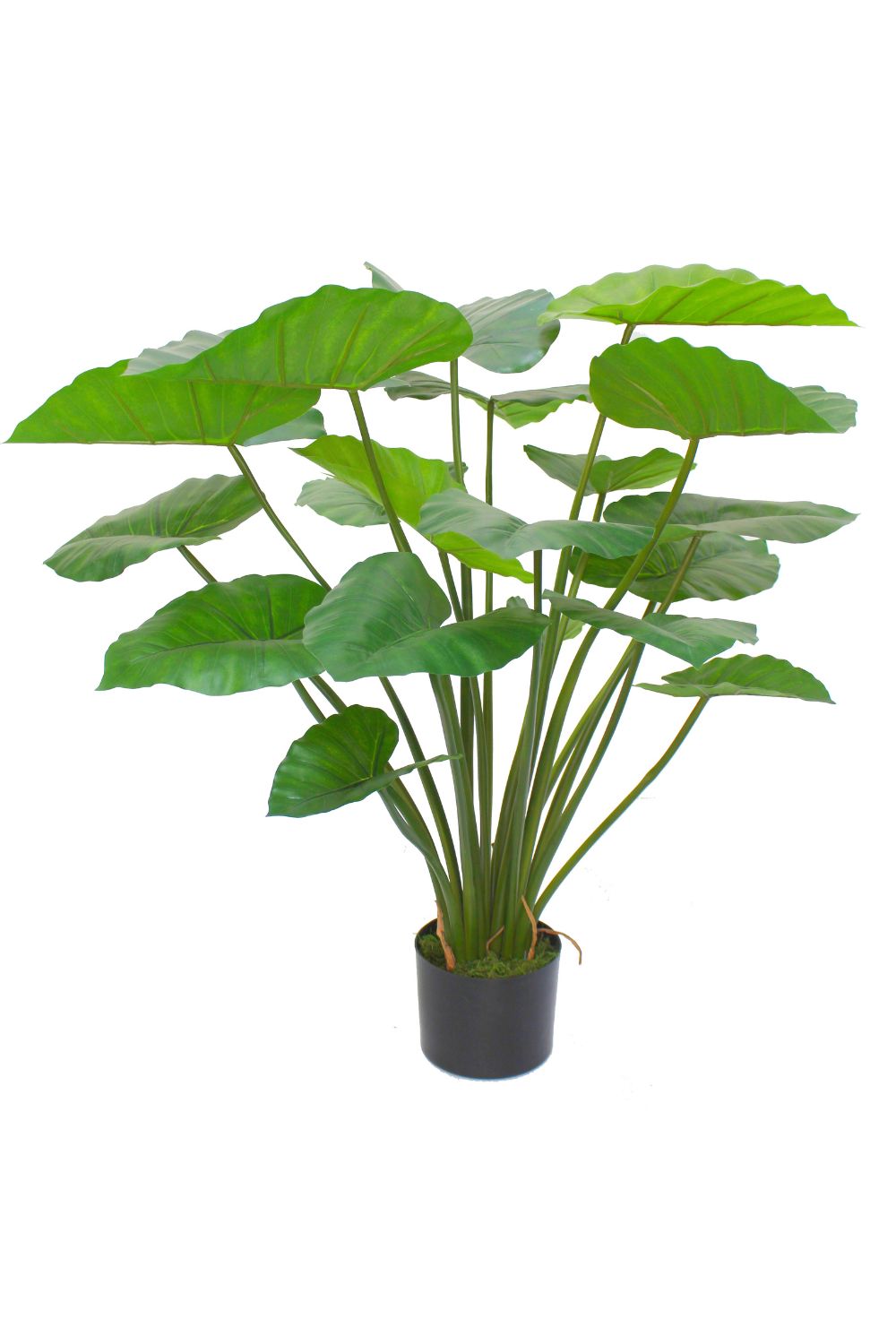 Alocasia Artificielle 100cm
