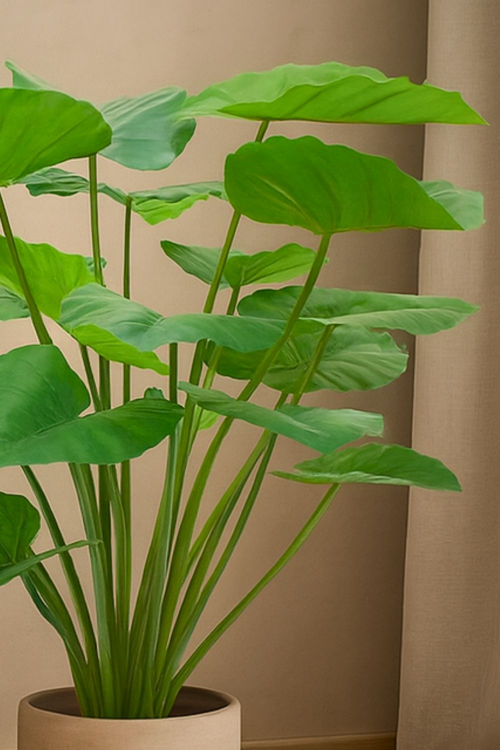 Détails de l’Alocasia Artificielle 100cm