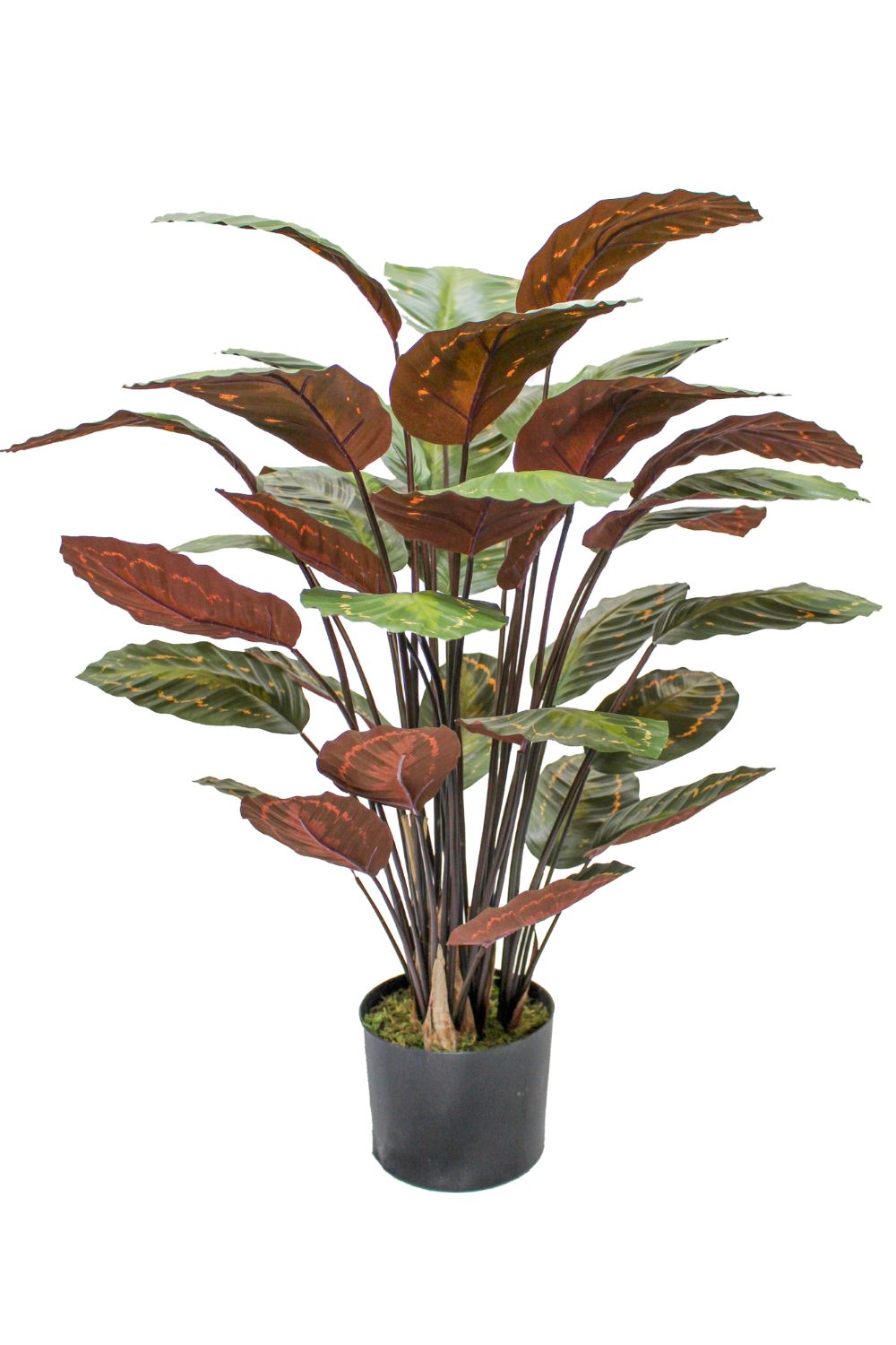 Calathea artificielle 90 cm