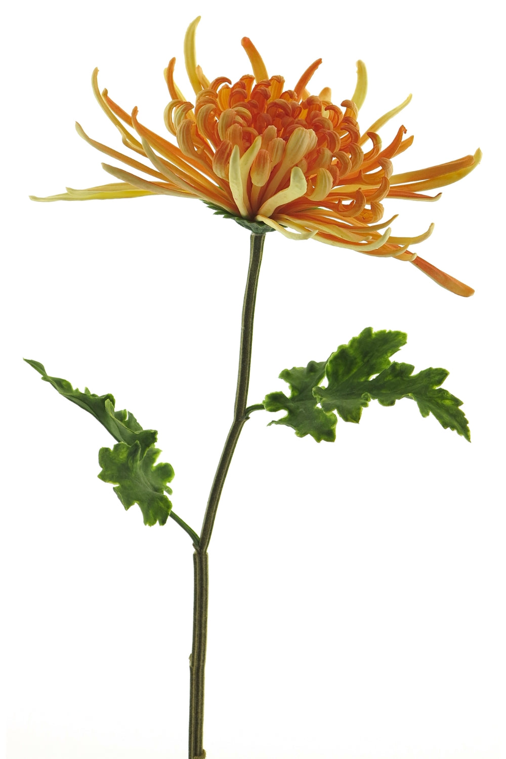 Chrysanthème Monaco Fleur Artificielle 68cm Pêche