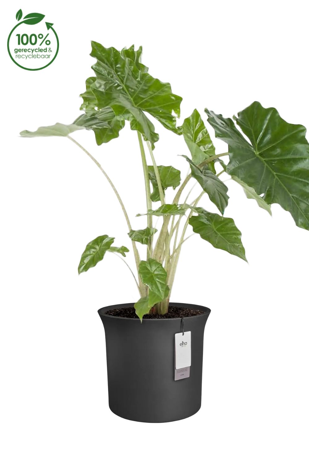 Pot de fleur Elho June Tulip 47 cm Noir