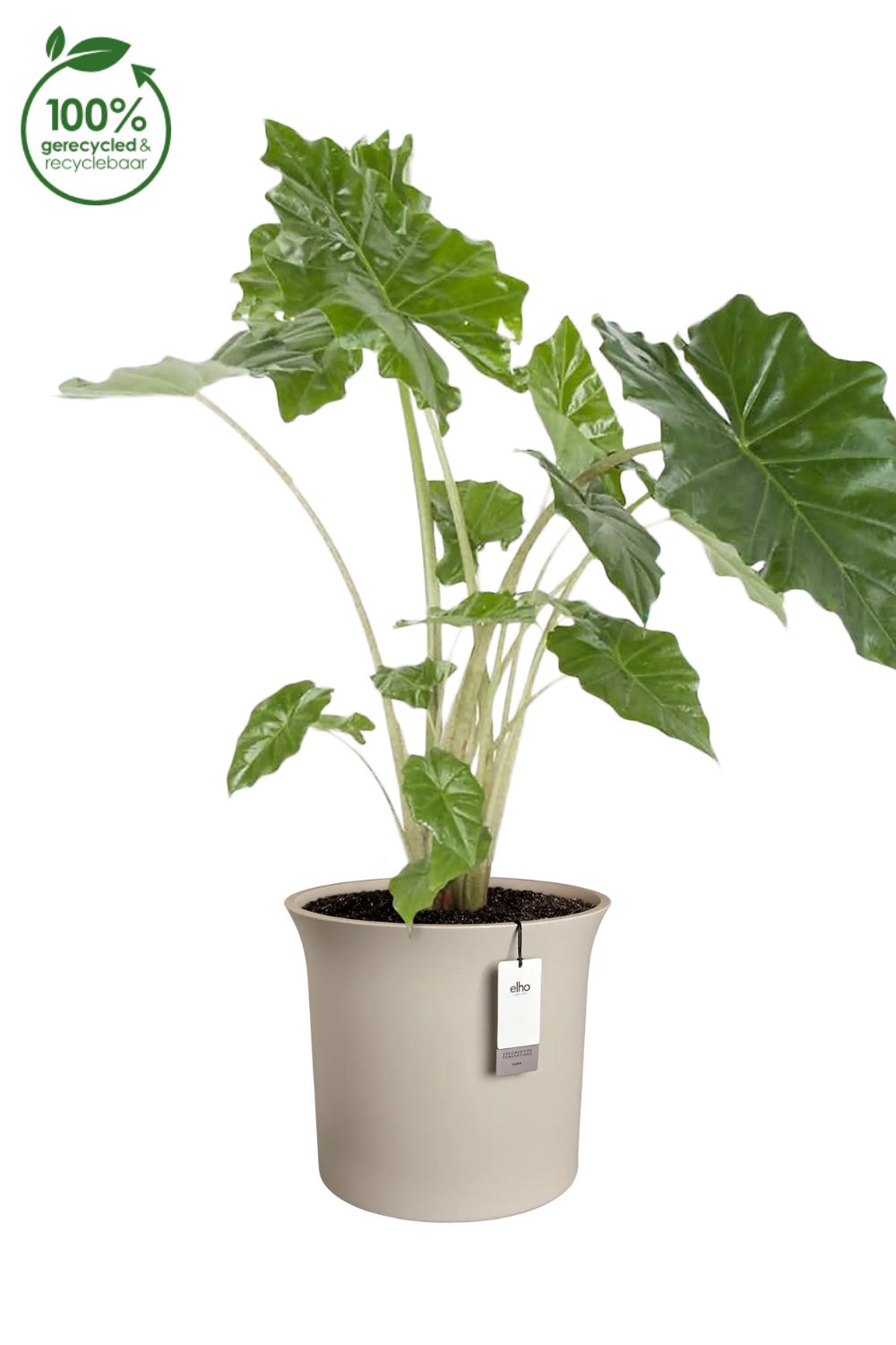 Pot de fleur Elho June Tulip 47 cm Balanced Beige