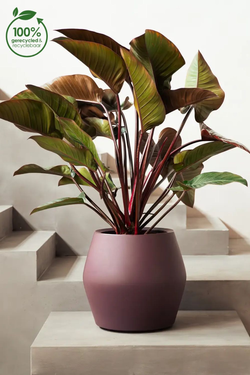 Pot de fleur Elho June Split Low 42 cm Prune Vintage