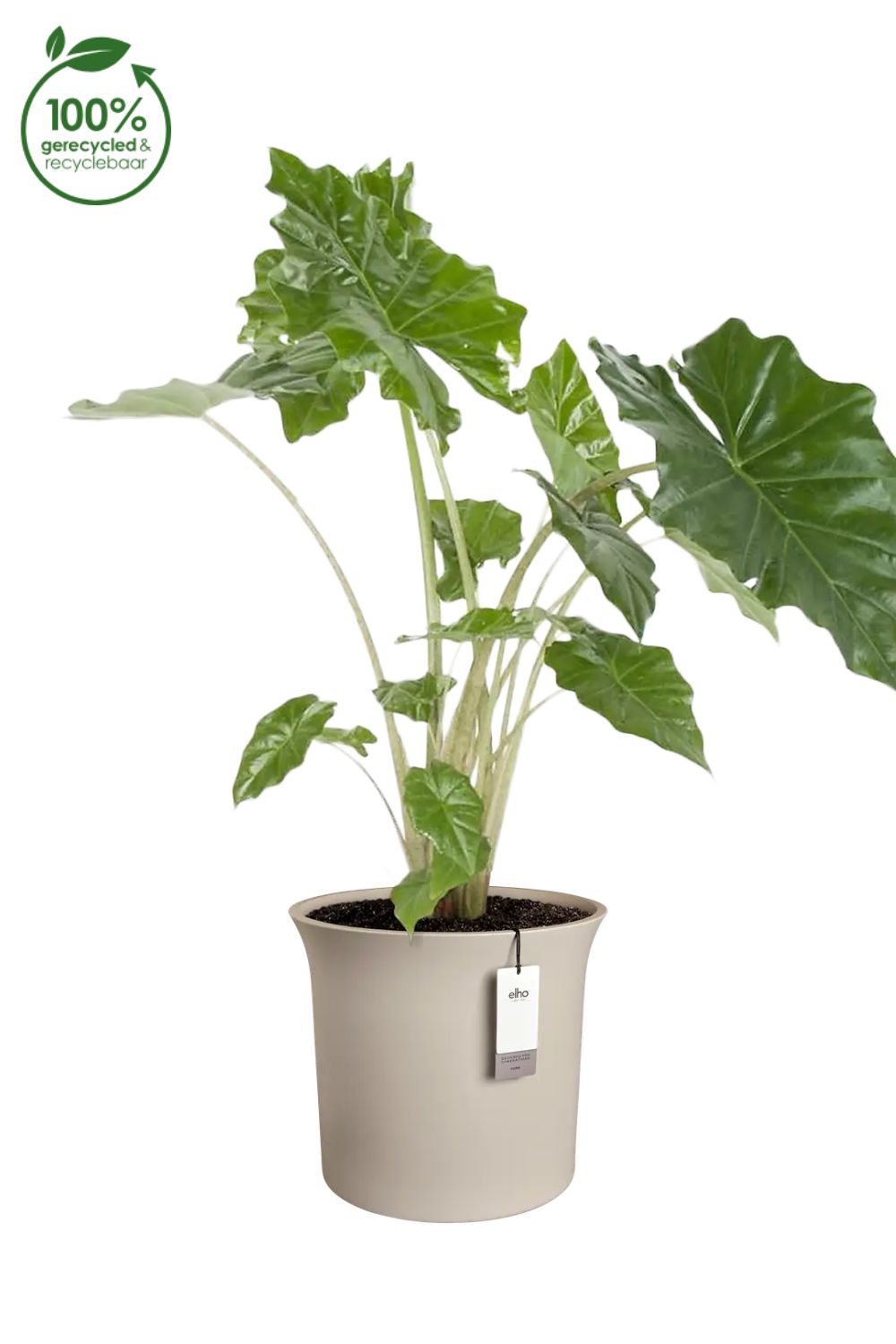 Pot de fleur Elho June Tulip 39 cm Balanced Beige