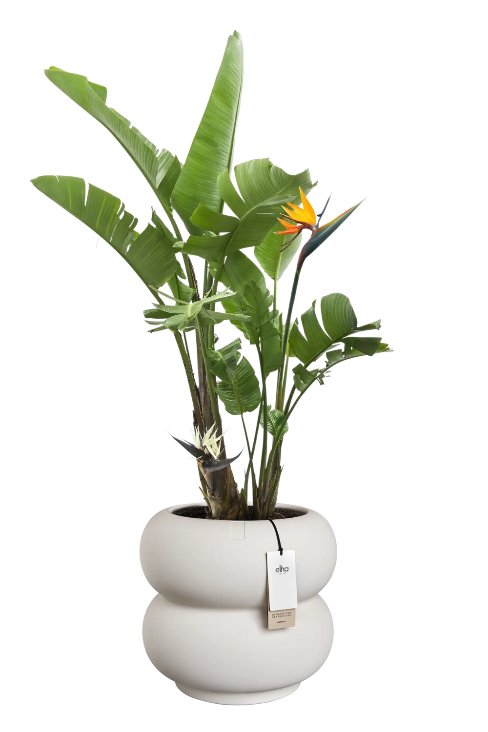 Pot de fleur Elho Amber Roll Low 40cm Lin Blanc