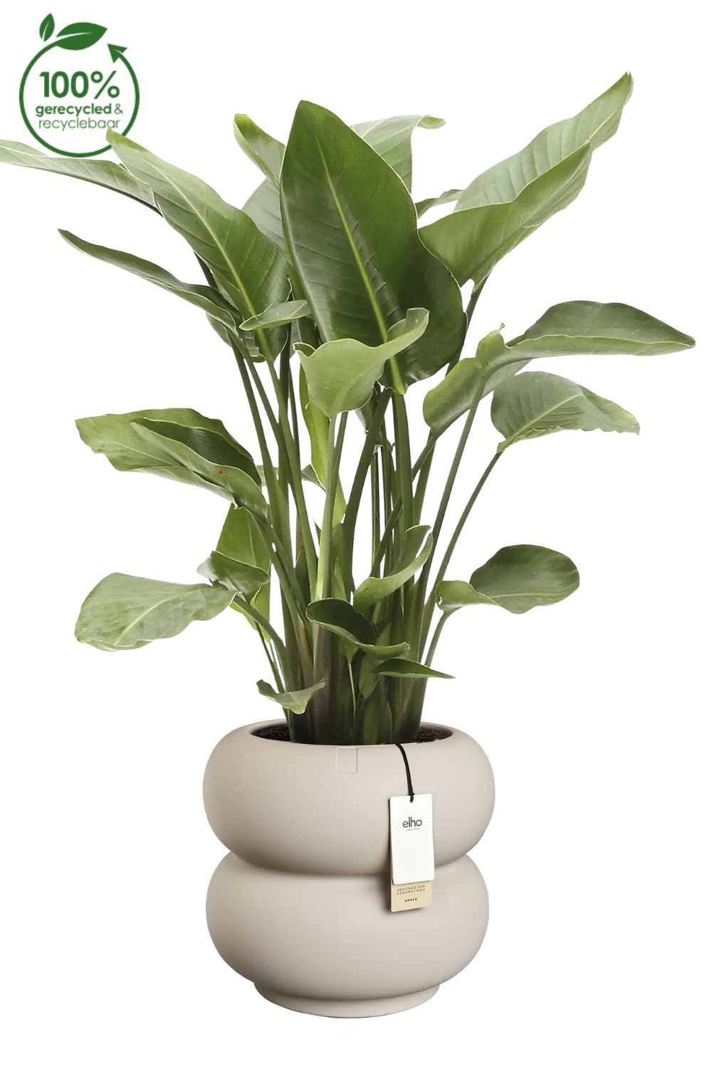 Pot de fleur Elho Amber Roll Low 40cm Beige Équilibré