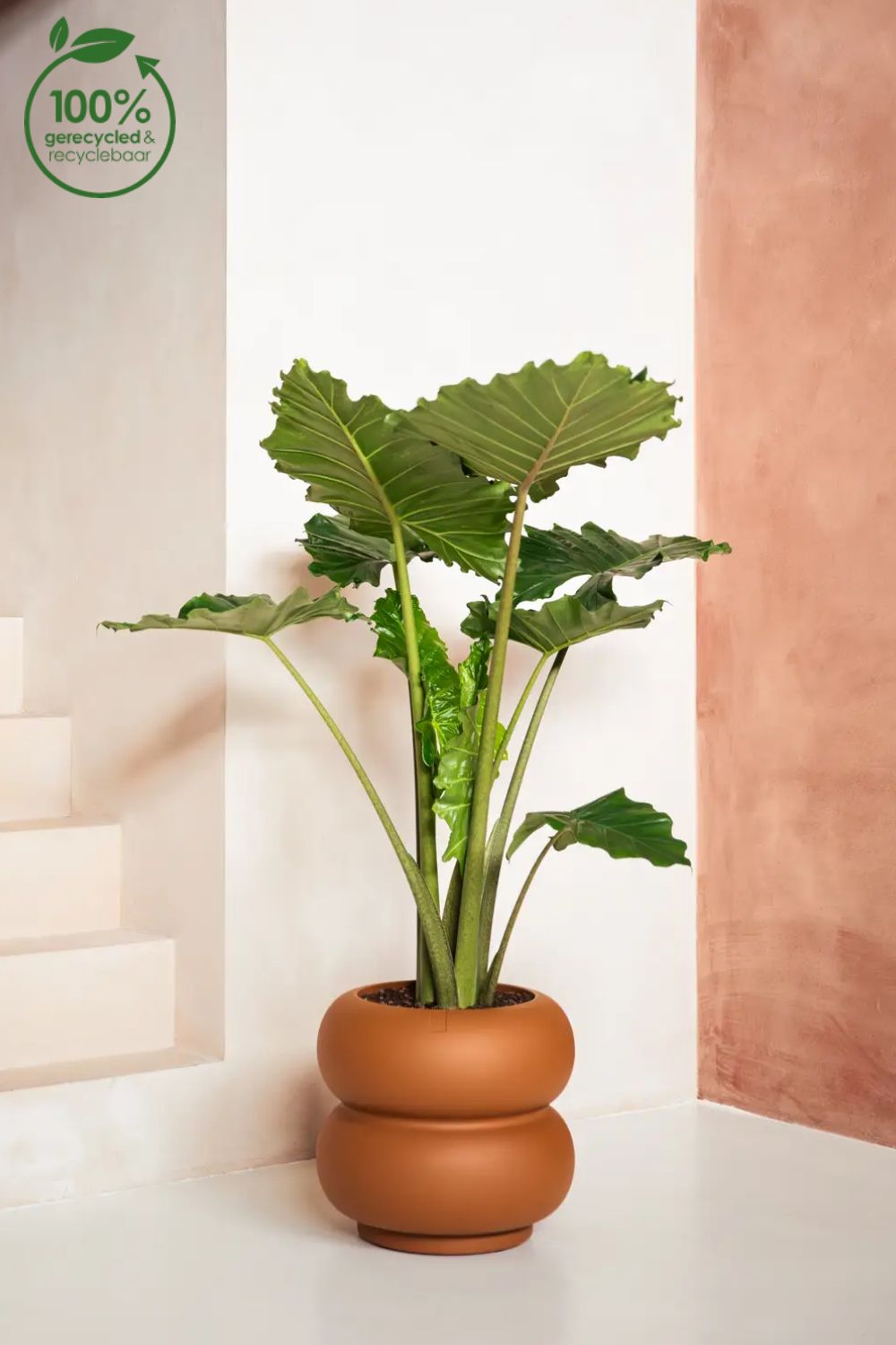 Pot de fleur Elho Amber Roll Low 40cm Caramel