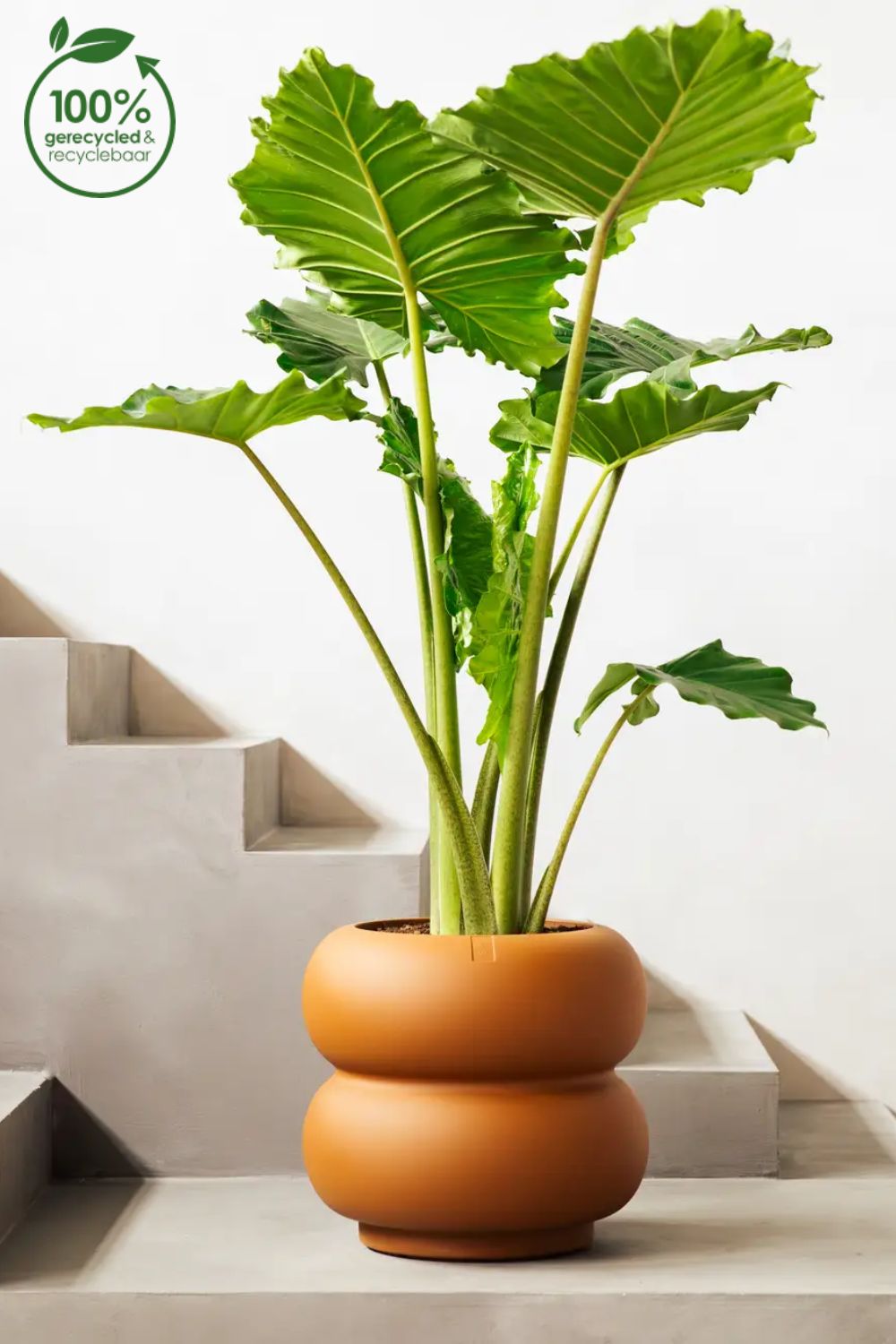 Pot de fleur Elho Amber Roll Low 40cm Caramel