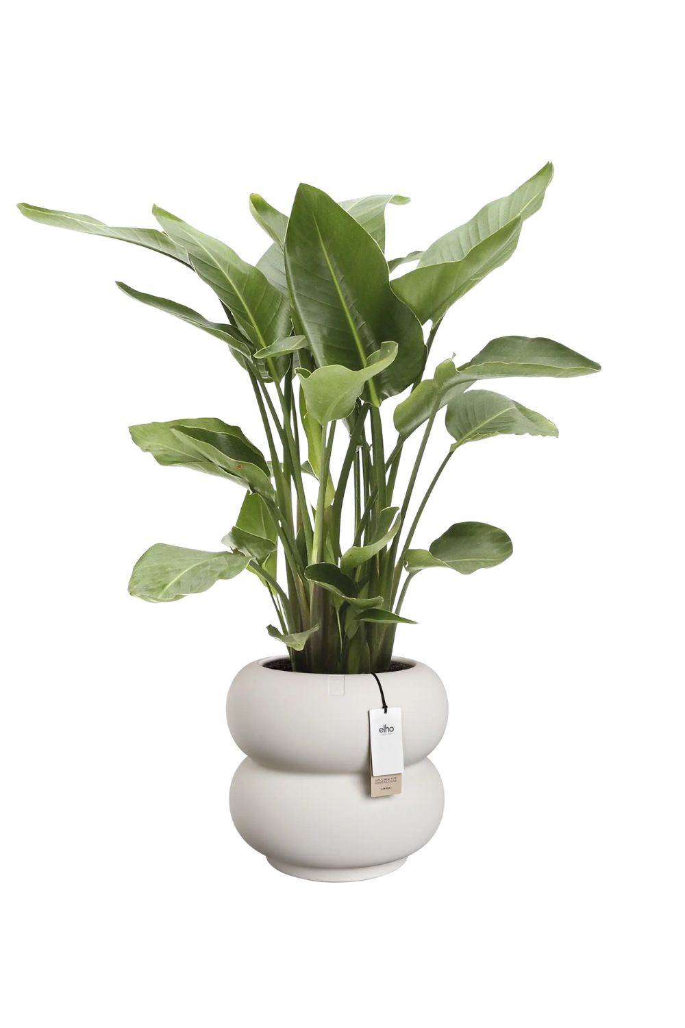 Pot de fleur Elho Amber Roll Low 40cm Lin Blanc