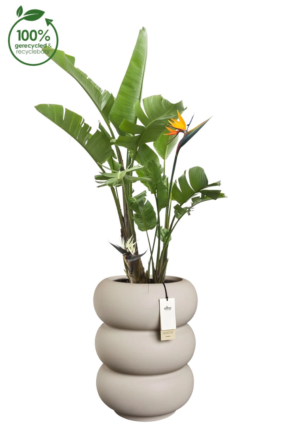 Pot de fleur Elho Amber Roll High 58cm Balanced Beige