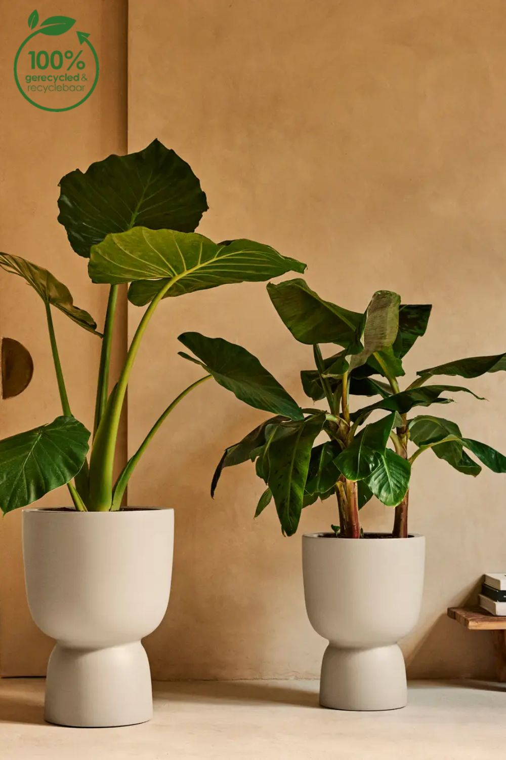 Photo d'ambiance du Pot de fleur Elho Amber Coupe 35cm Lin Blanc