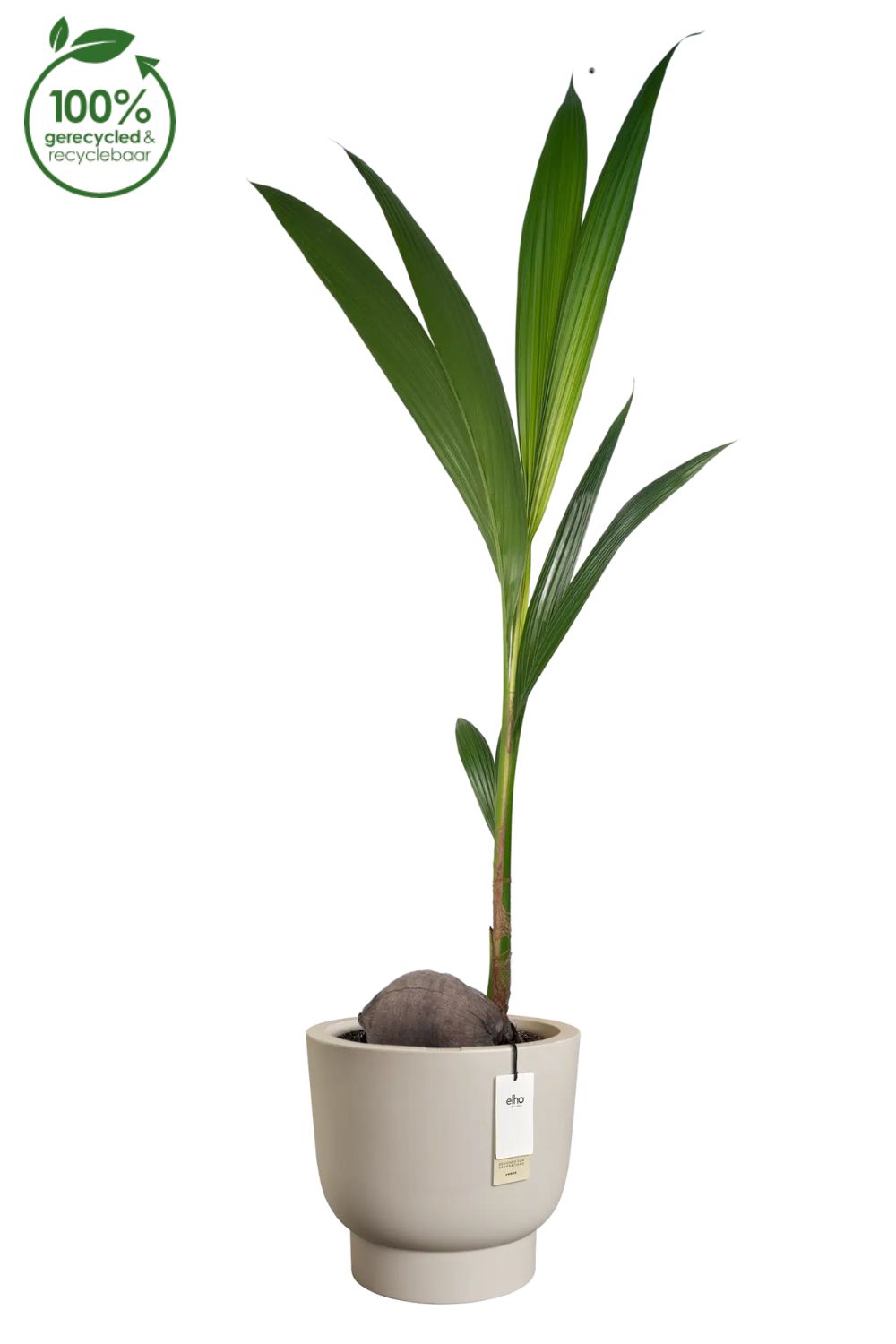 Pot de fleur Elho Amber Grail 30cm Beige Balanced