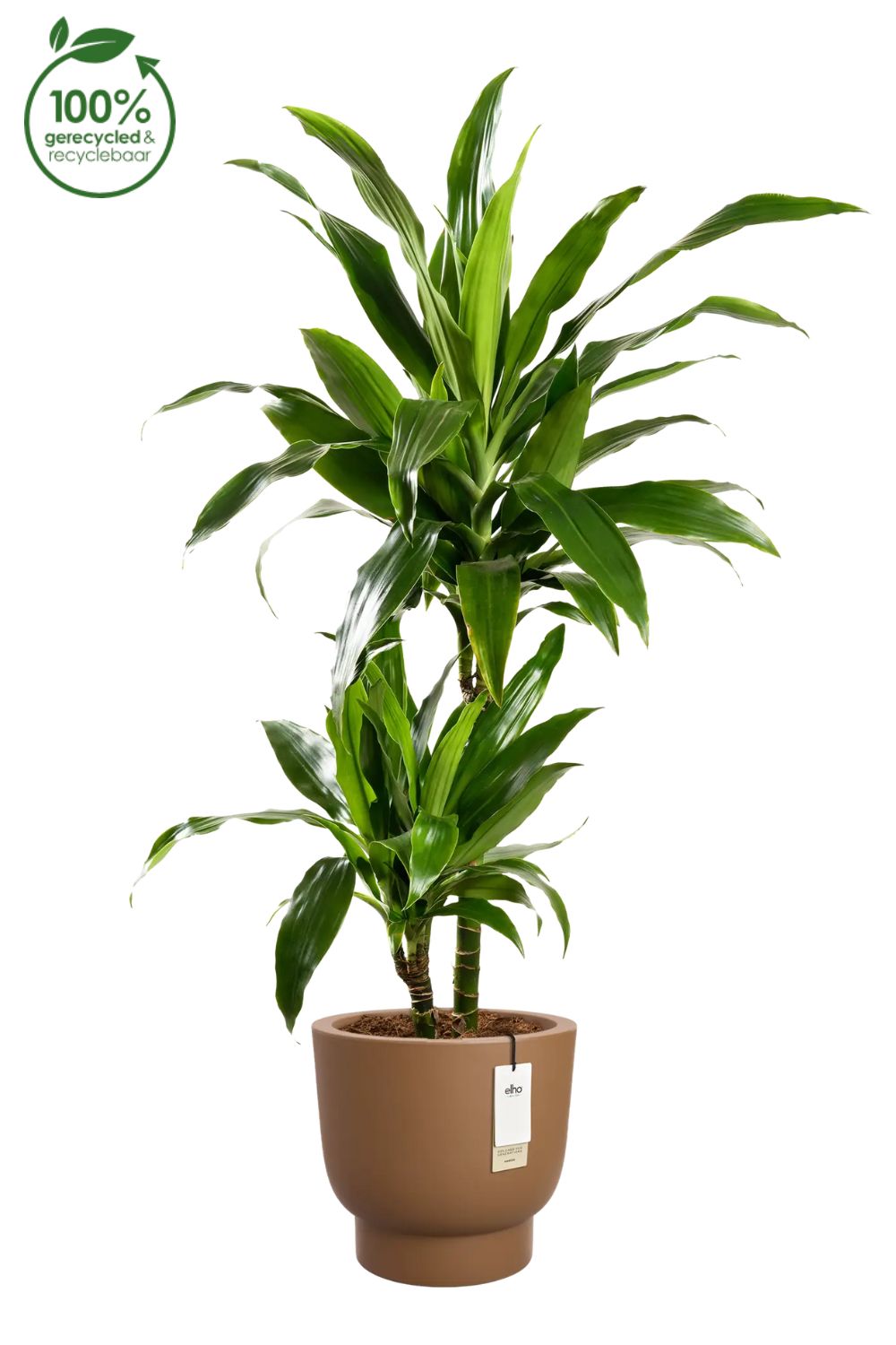 Pot de fleur Elho Amber Grail 30cm Caramel