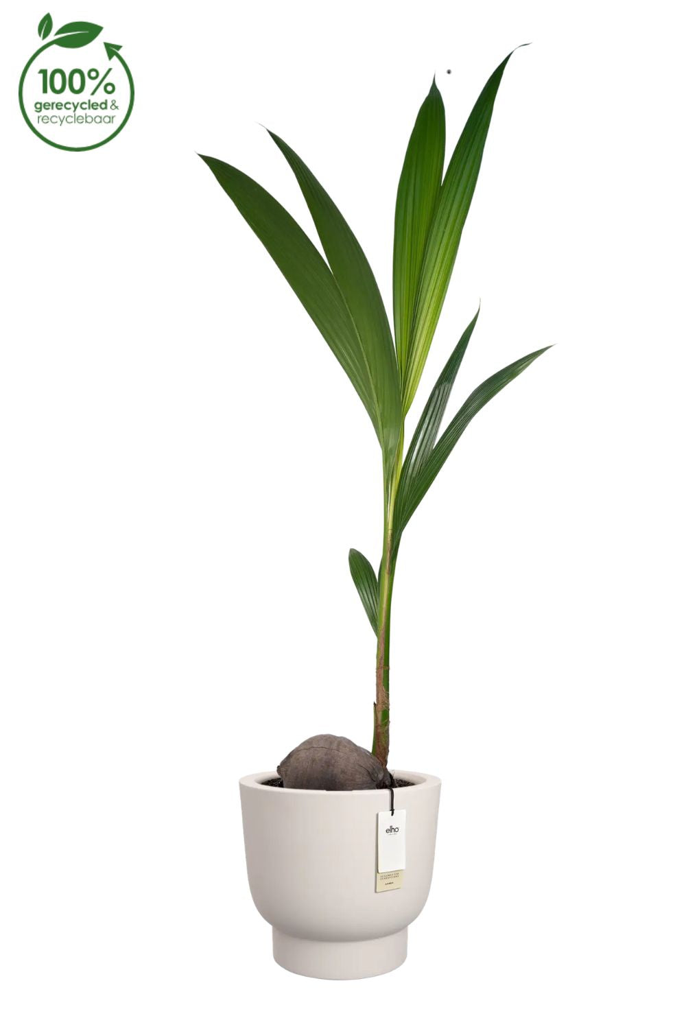 Pot de fleur Elho Amber Grail 38 cm Lin Blanc