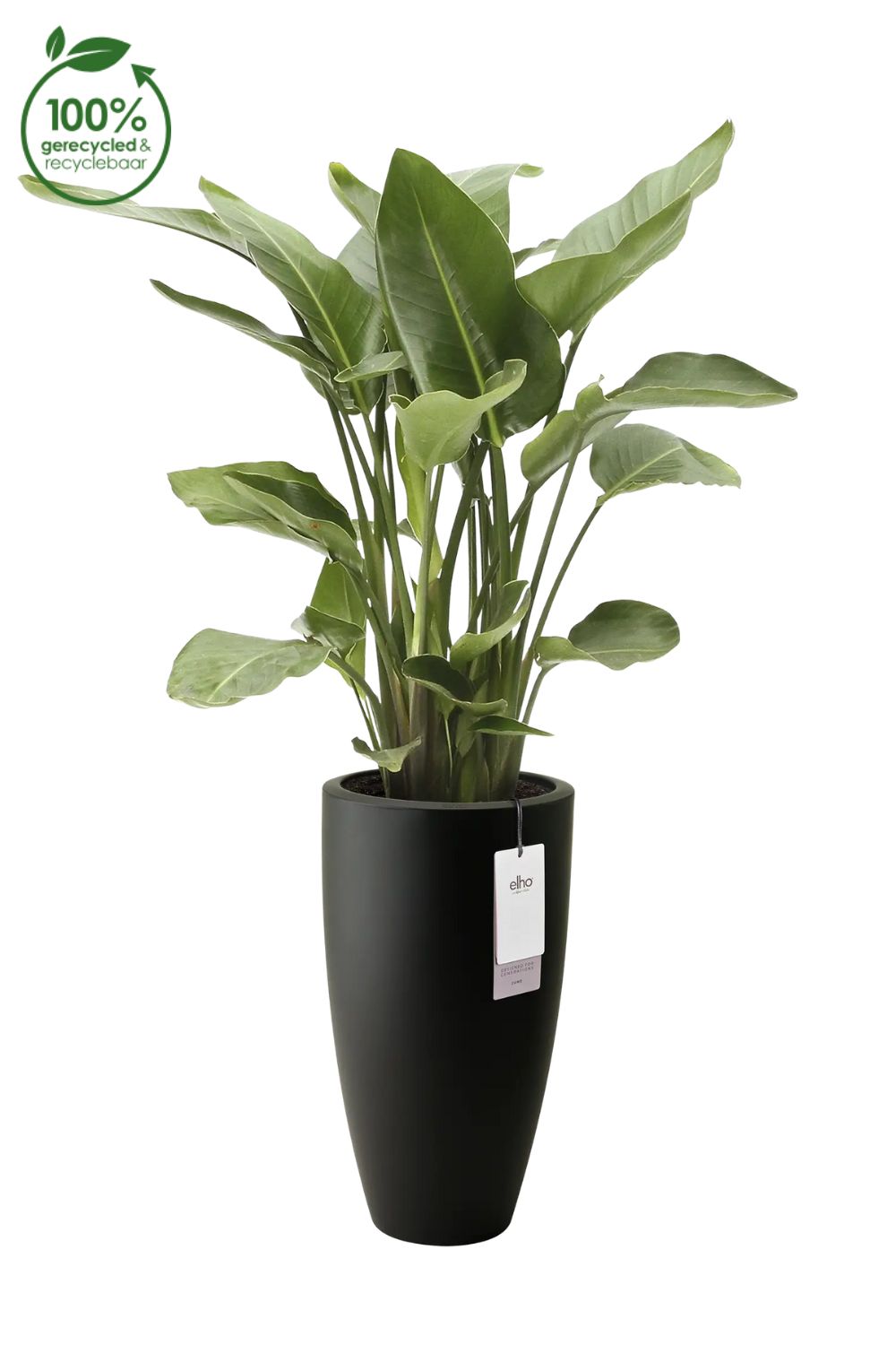 Pot de fleur Elho June Round High 30 cm Noir