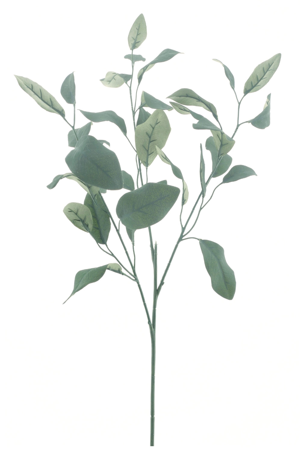 Eucalyptus Tige Artificielle 73cm