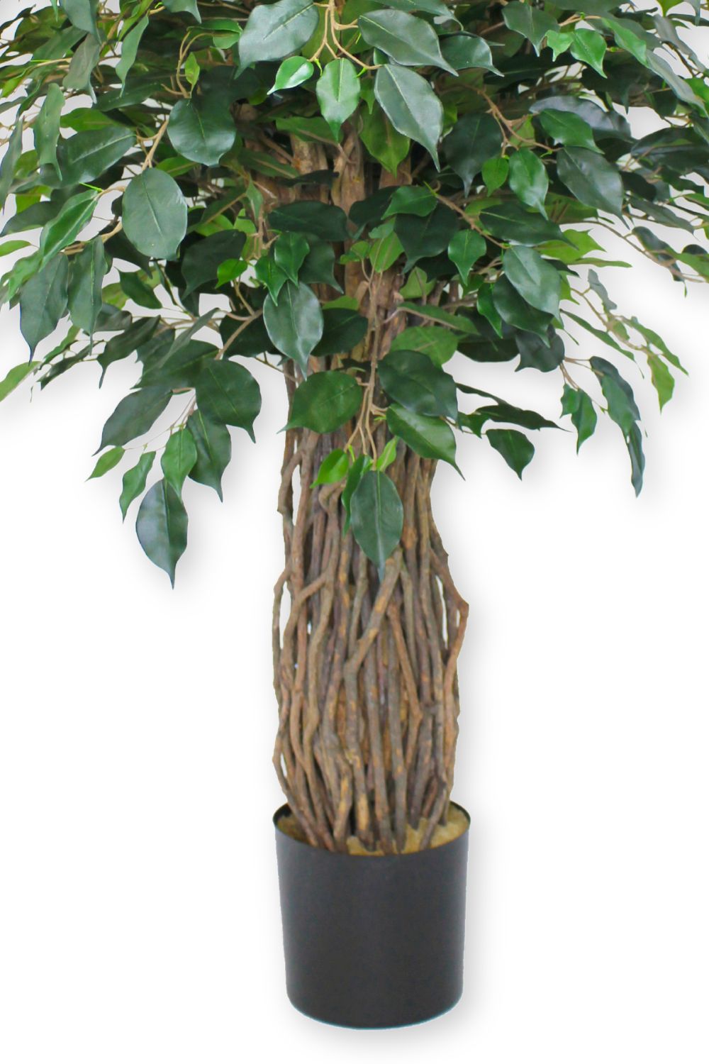 Ficus Liana artificielle 180 cm