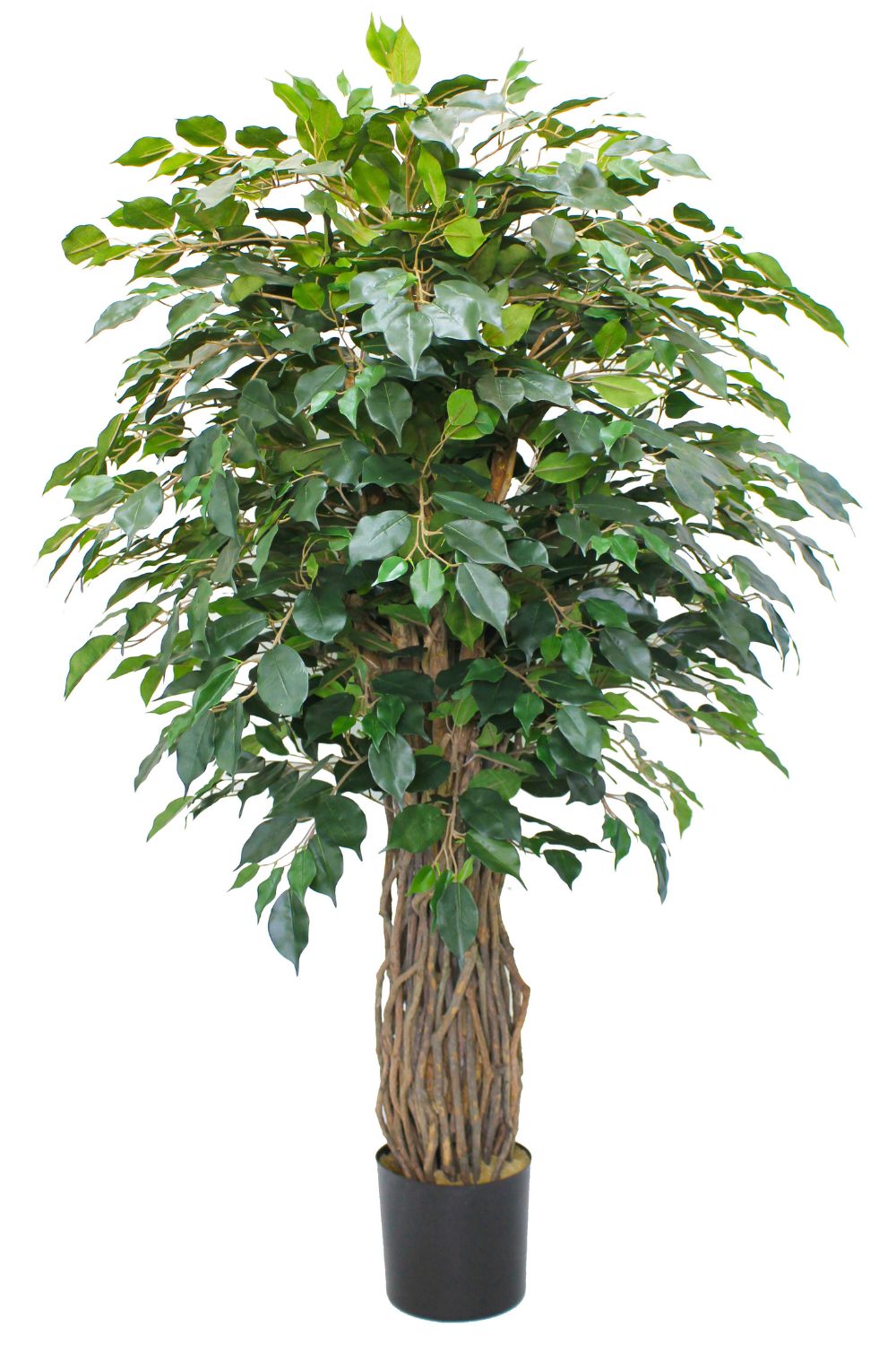 Ficus Liana artificielle 180 cm