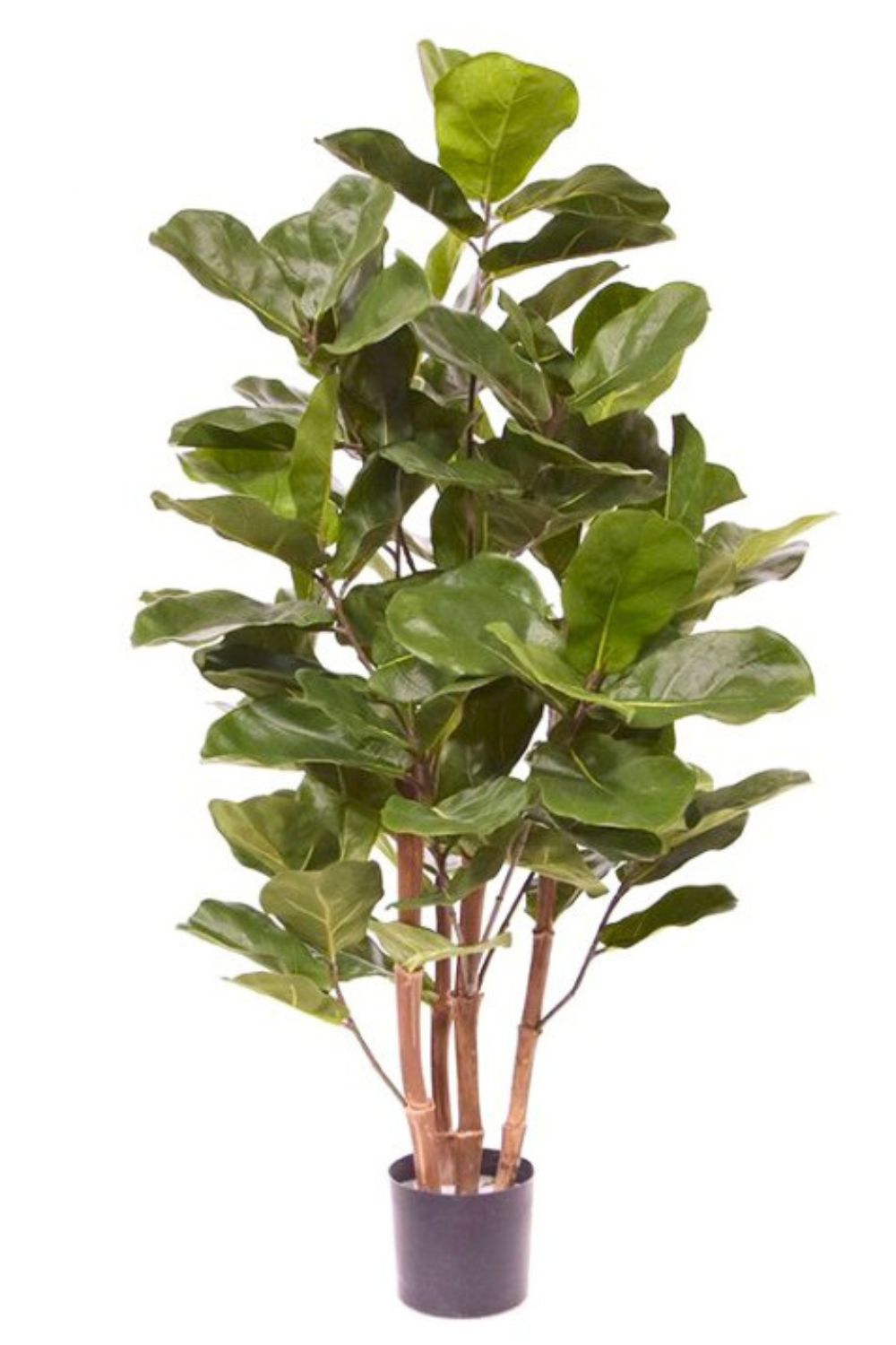 Ficus Artificiel 120cm