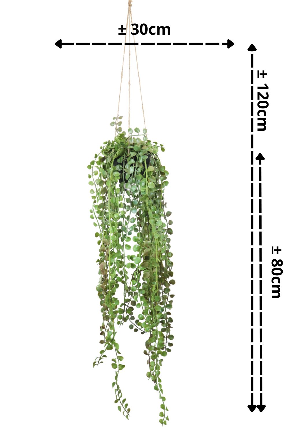 Ficus Pumilla Plante Artificielle Suspendue 70 cm