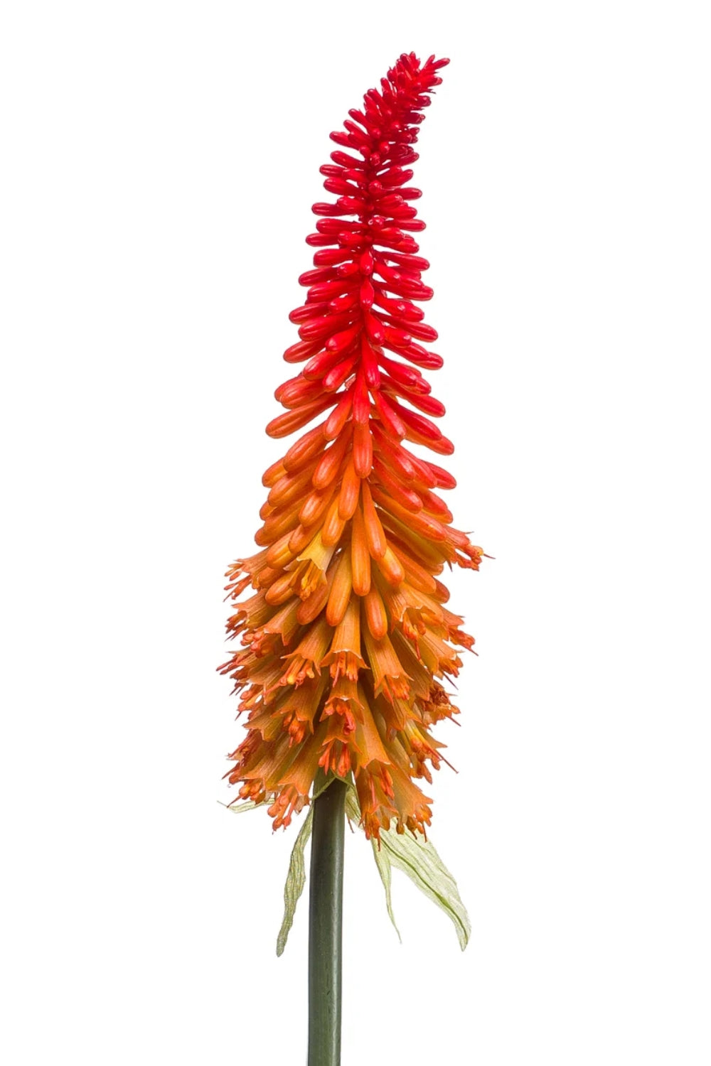 Kniphofia Fleur Artificielle 85cm Orange
