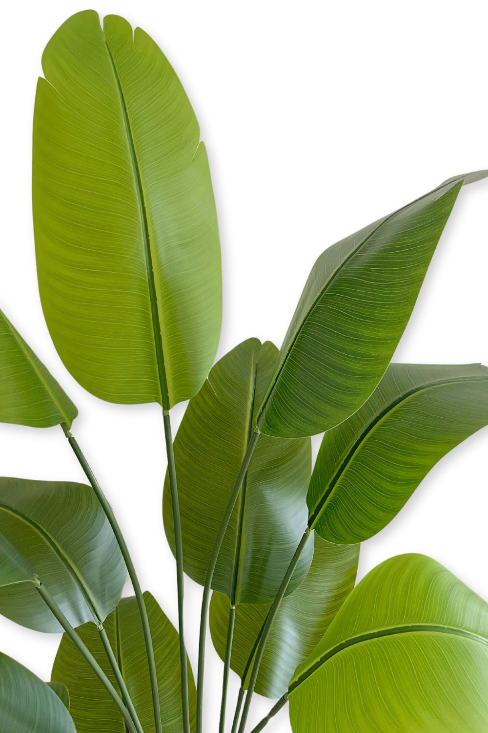 Bananier artificiel 180 cm