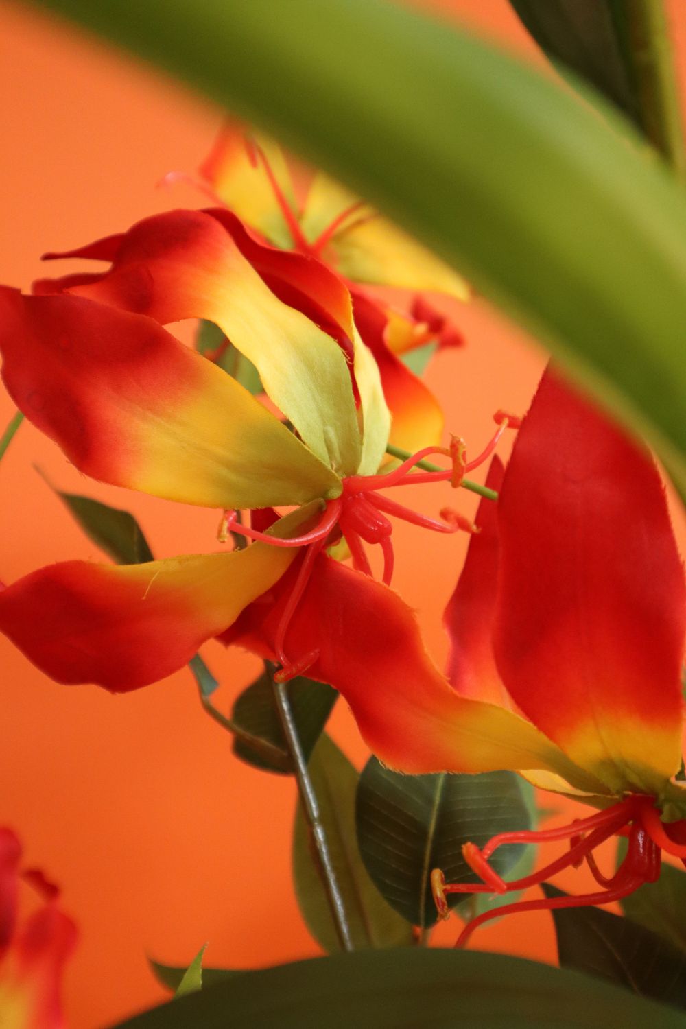 Détails du Bouquet Artificiel Glorious Gloriosa