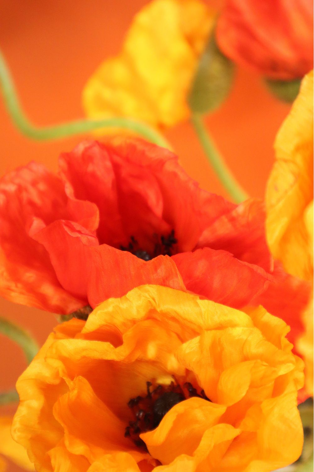 Détails 3 du Bouquet Artificiel Poppy Paradise