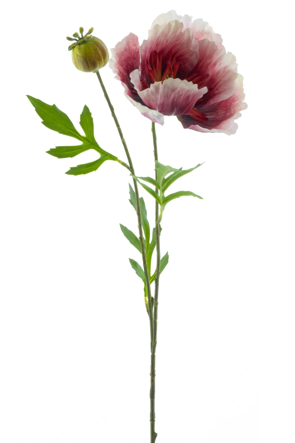 Coquelicot Artificiel 82cm Beauty