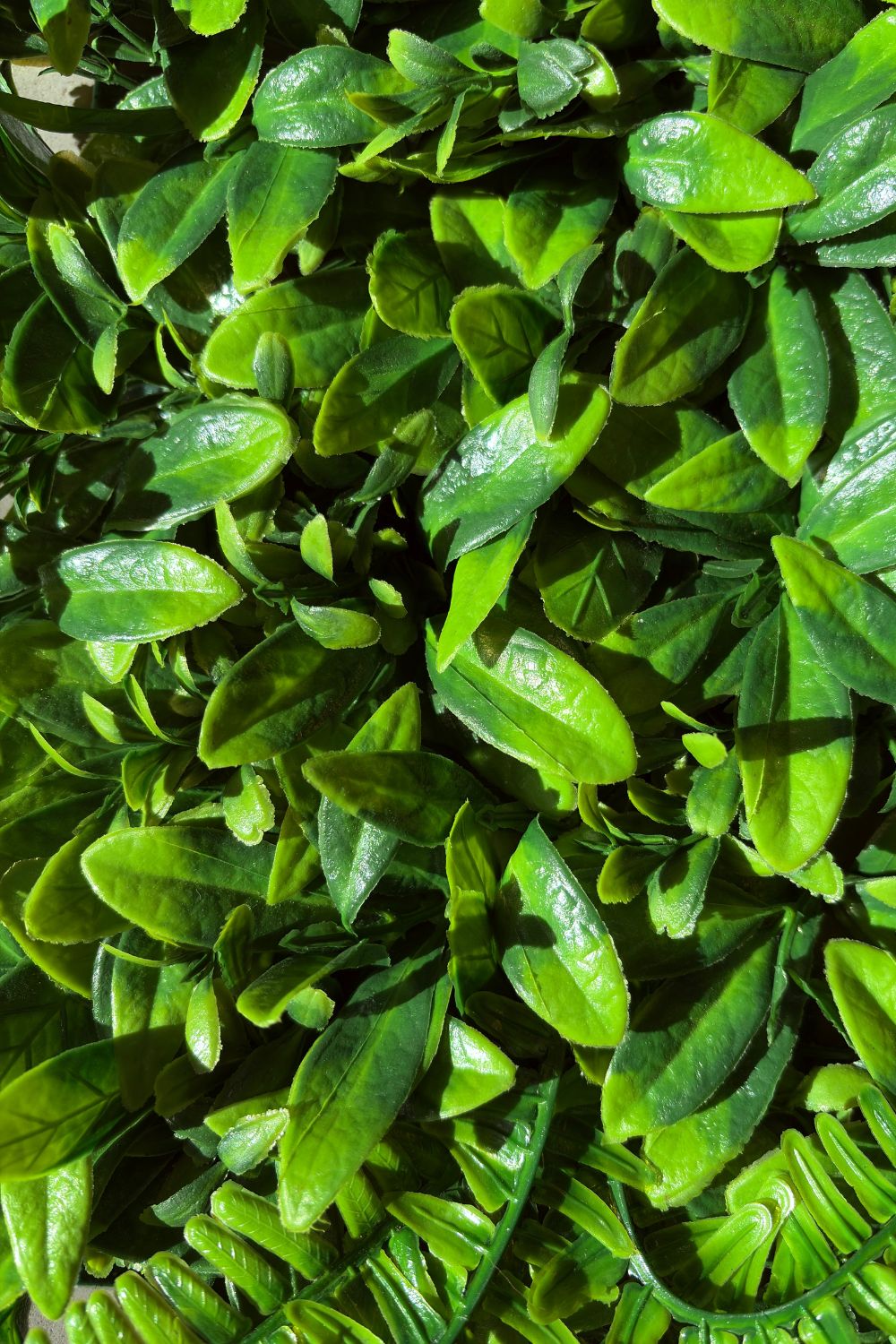 Haie murale artificielle verte mixte 60x40 cm avec protection UV