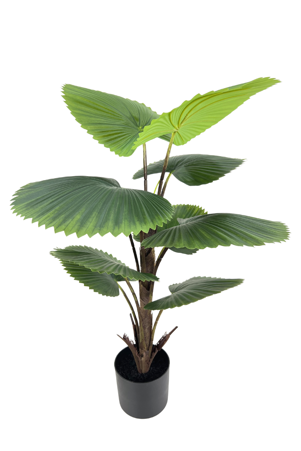 Palmier Éventail Artificiel 90cm