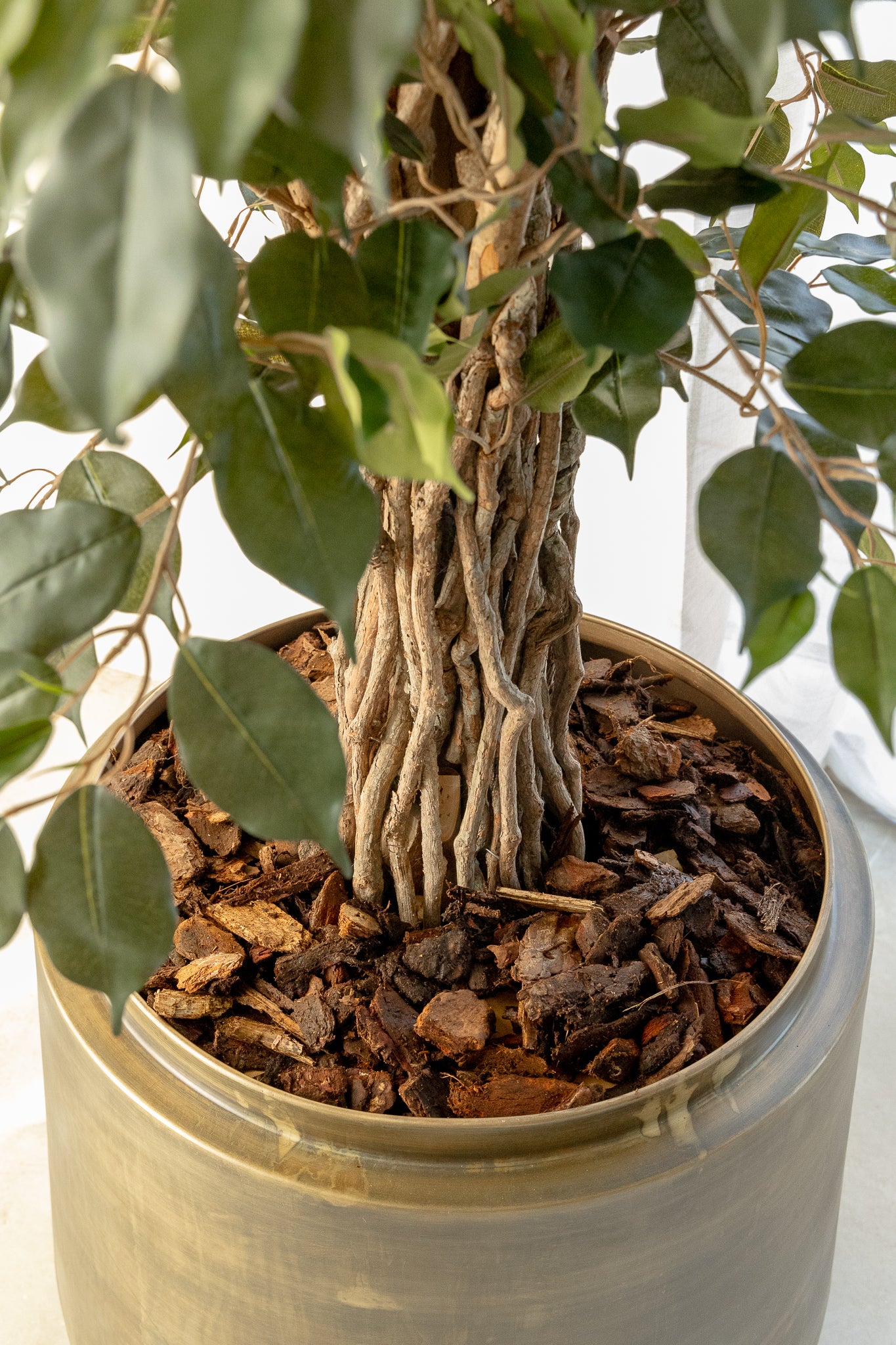 Ficus Liana artificielle 180 cm