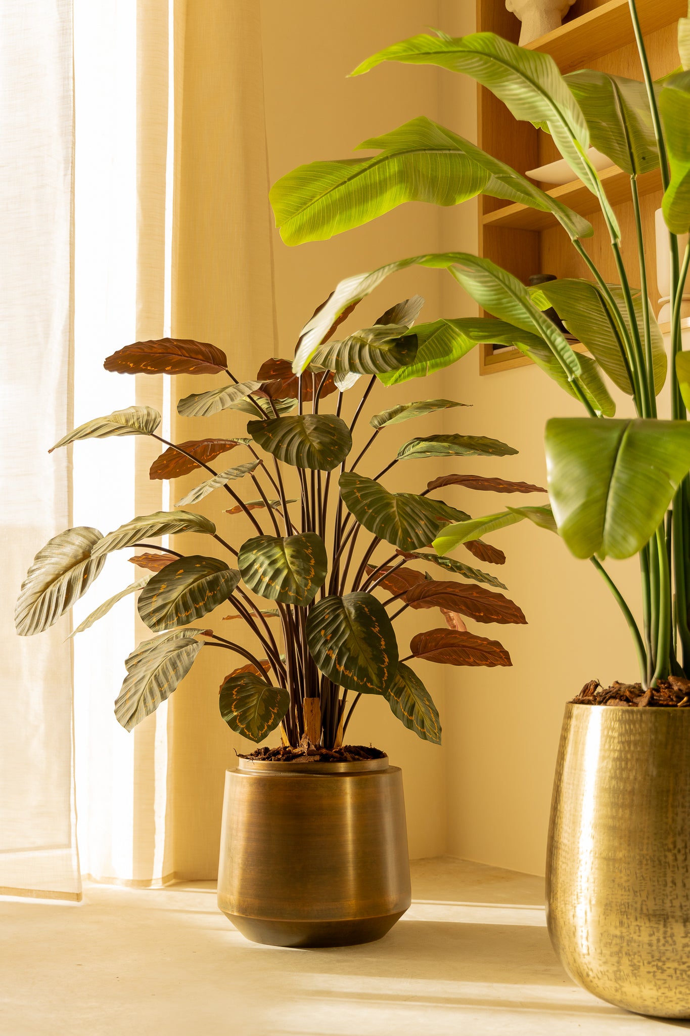 Calathea artificielle 90 cm