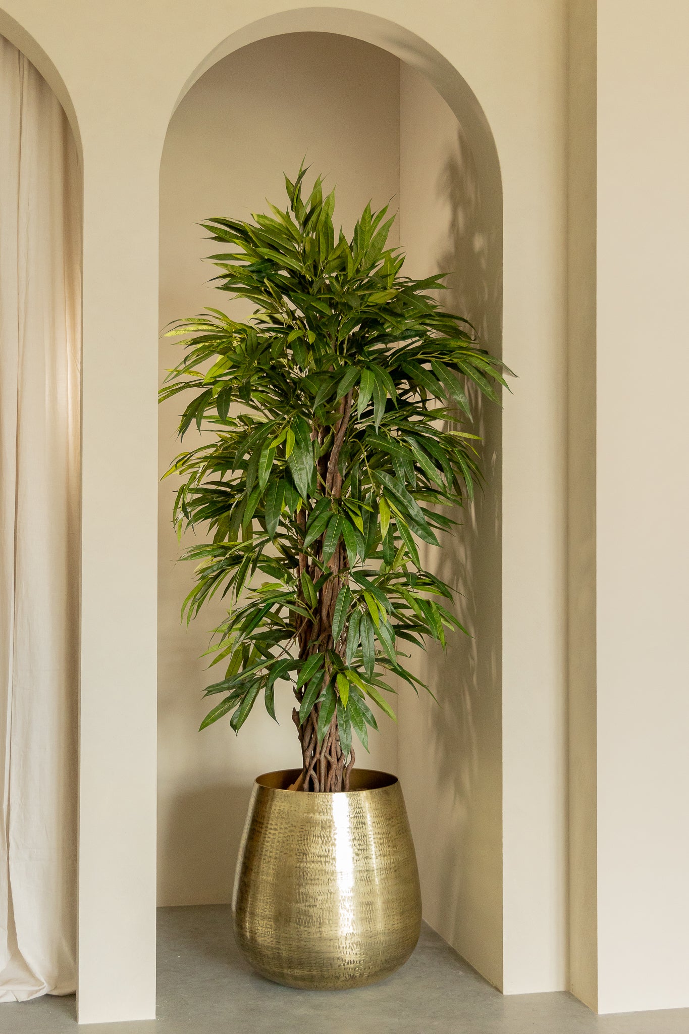 Plante Artificielle Longifolia 180 cm